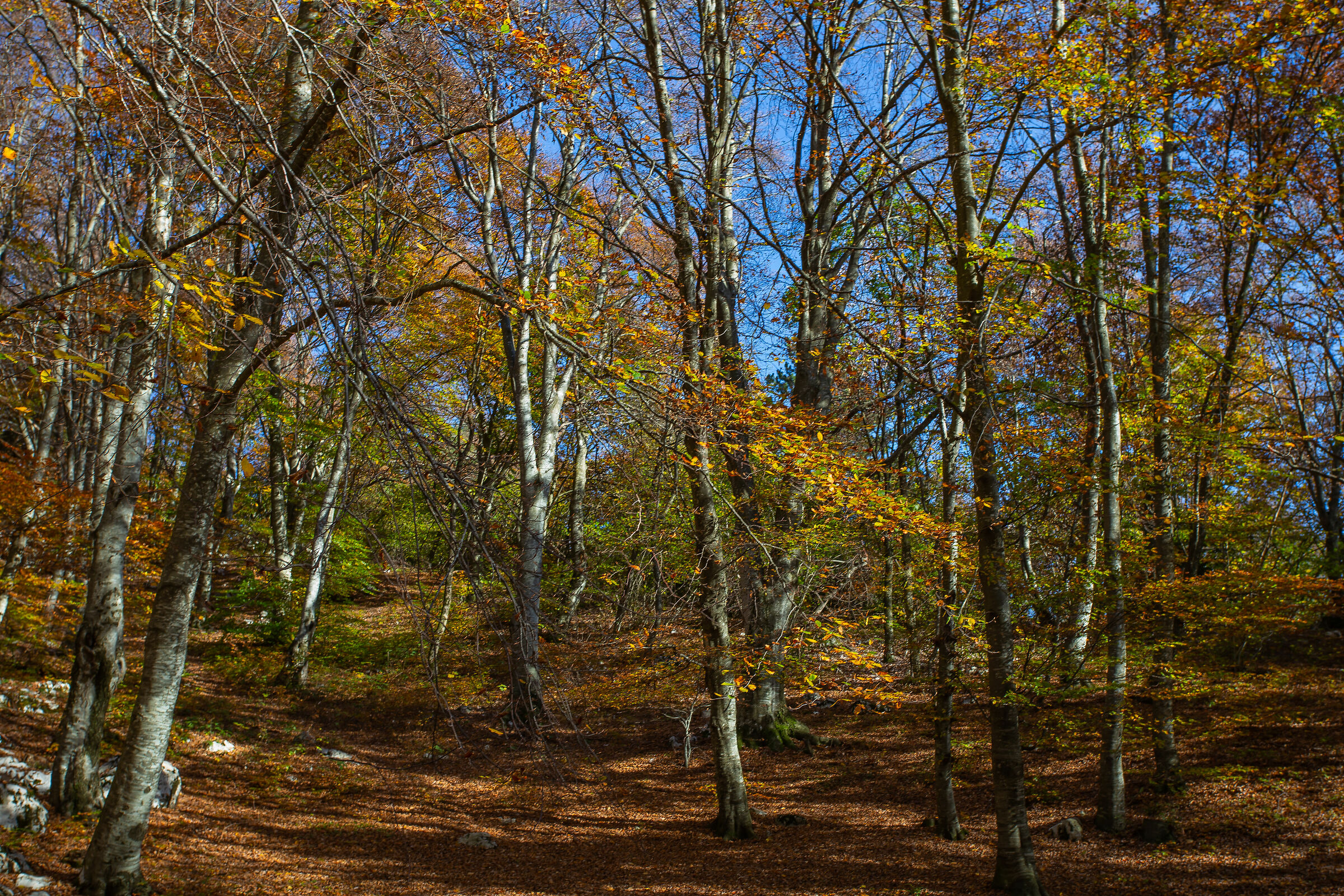 The Colors of Mount Baldo-27