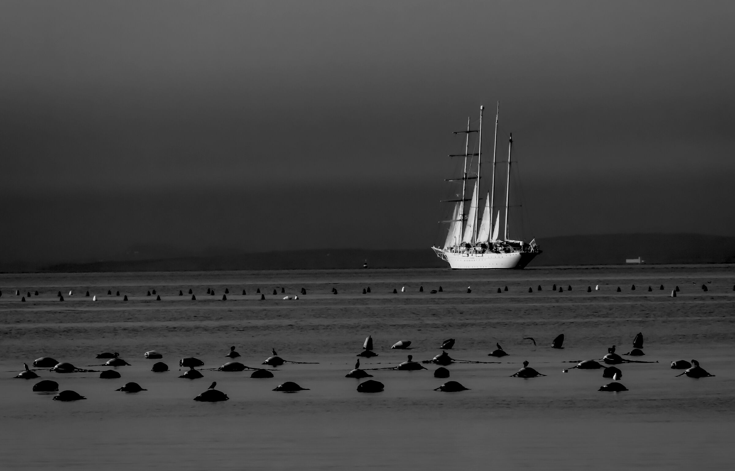 Omaggio a Raimondo Palmieri