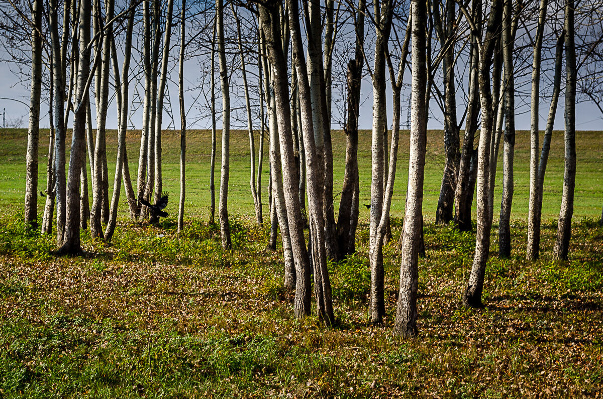 Szolnok - passeggiata lungo il fiume