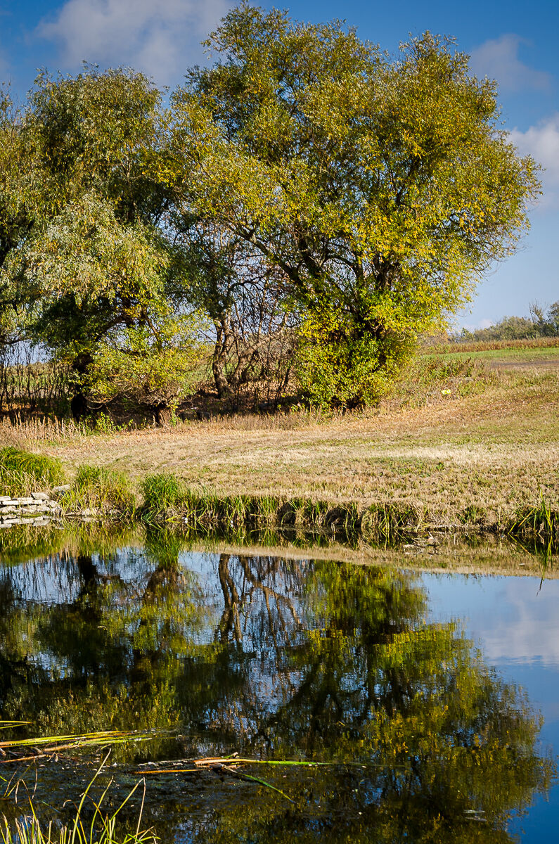 Szolnok - passeggiata lungo il fiume