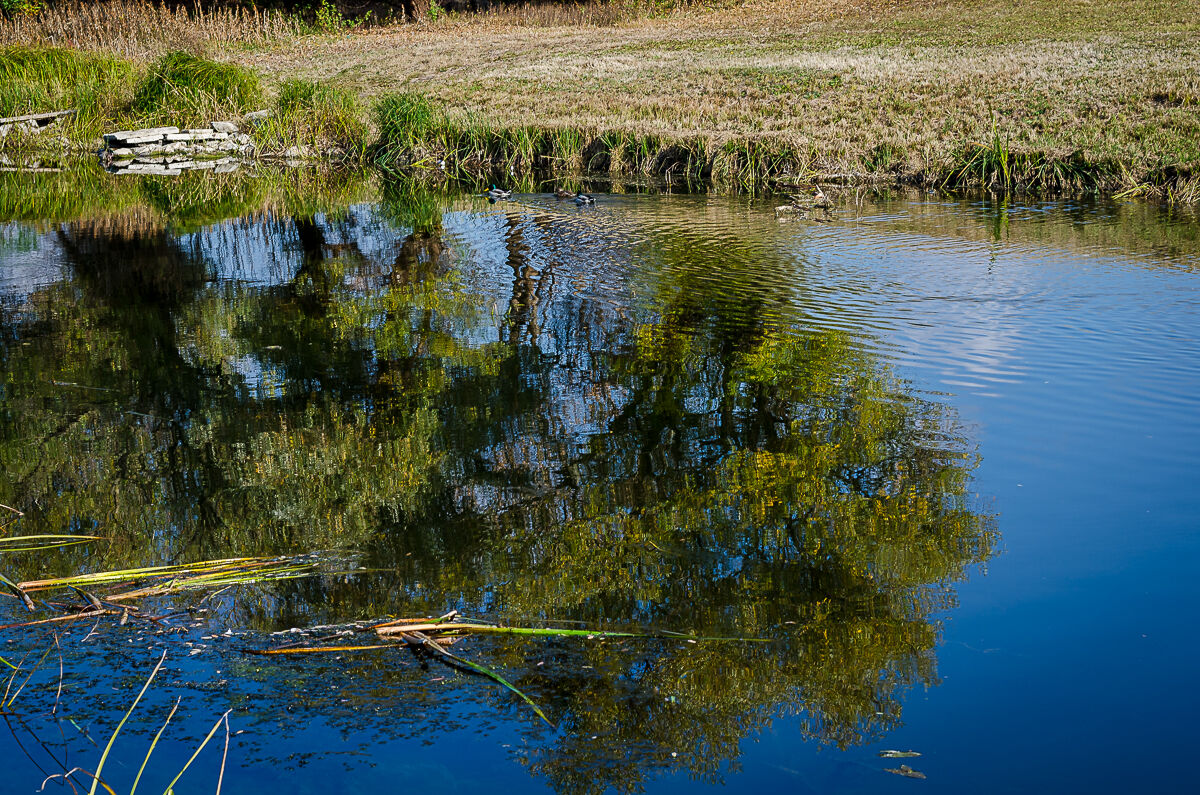 Szolnok - passeggiata lungo il fiume