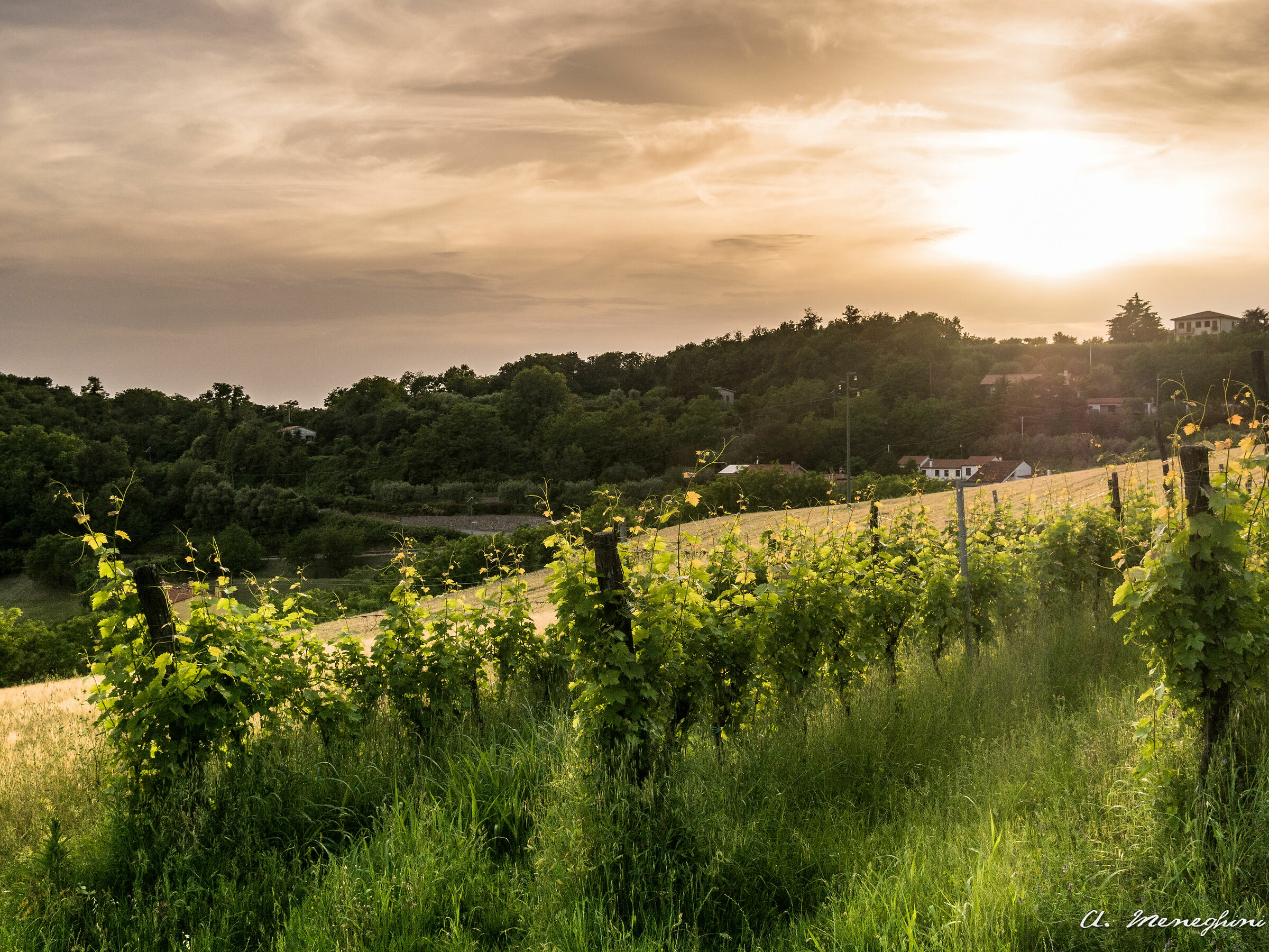 Calaone - Euganei Hills