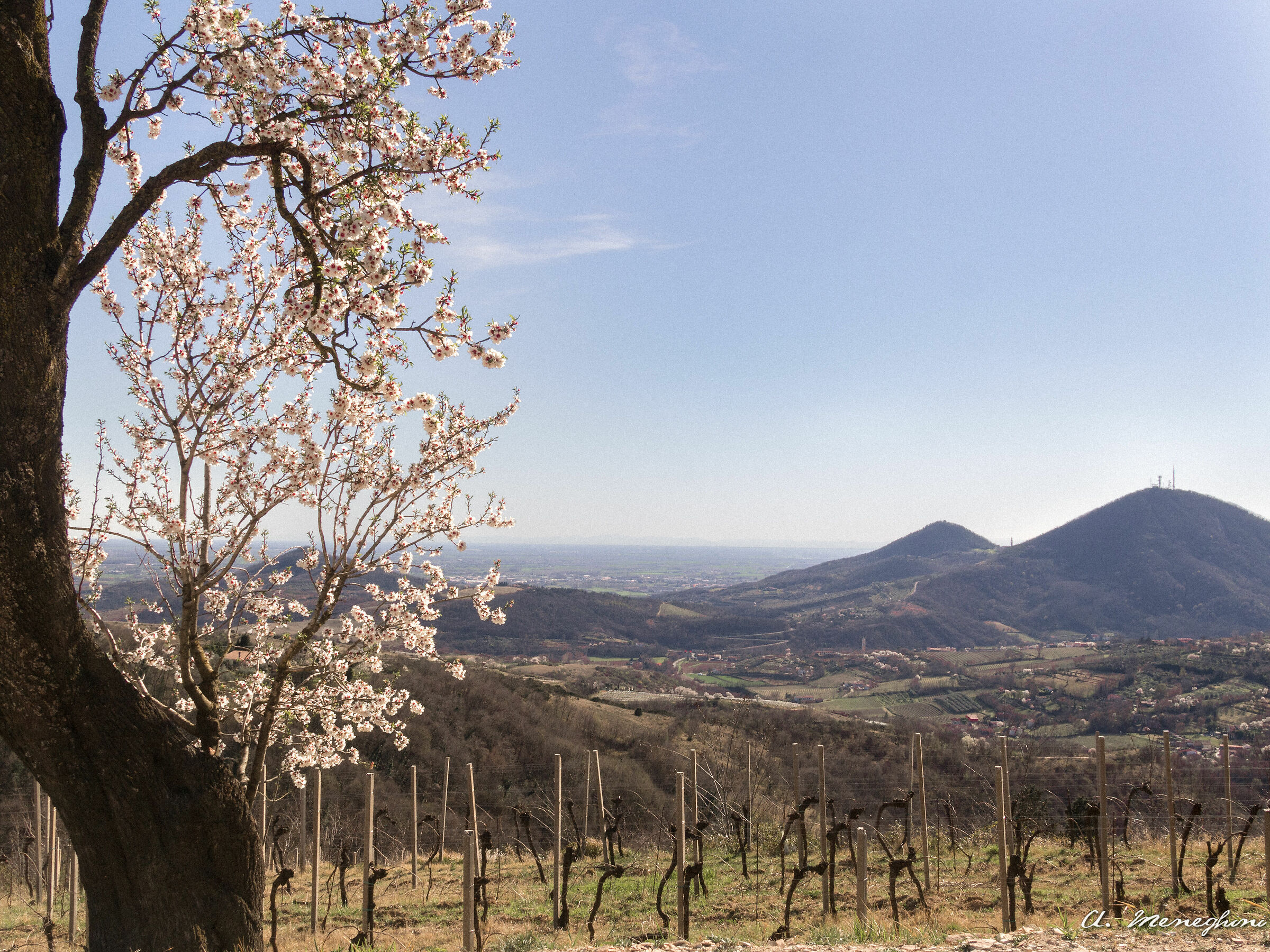 Monte Fasolo Farm - Euganei Hills