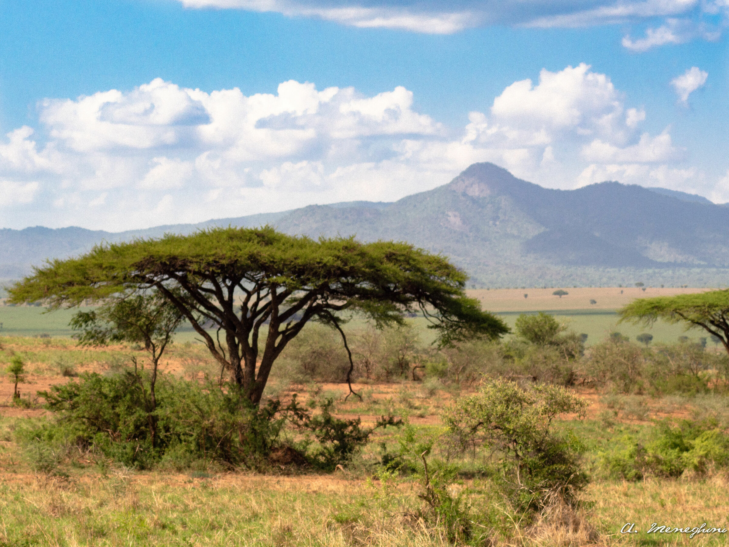 Kidepo National Park, Inn.