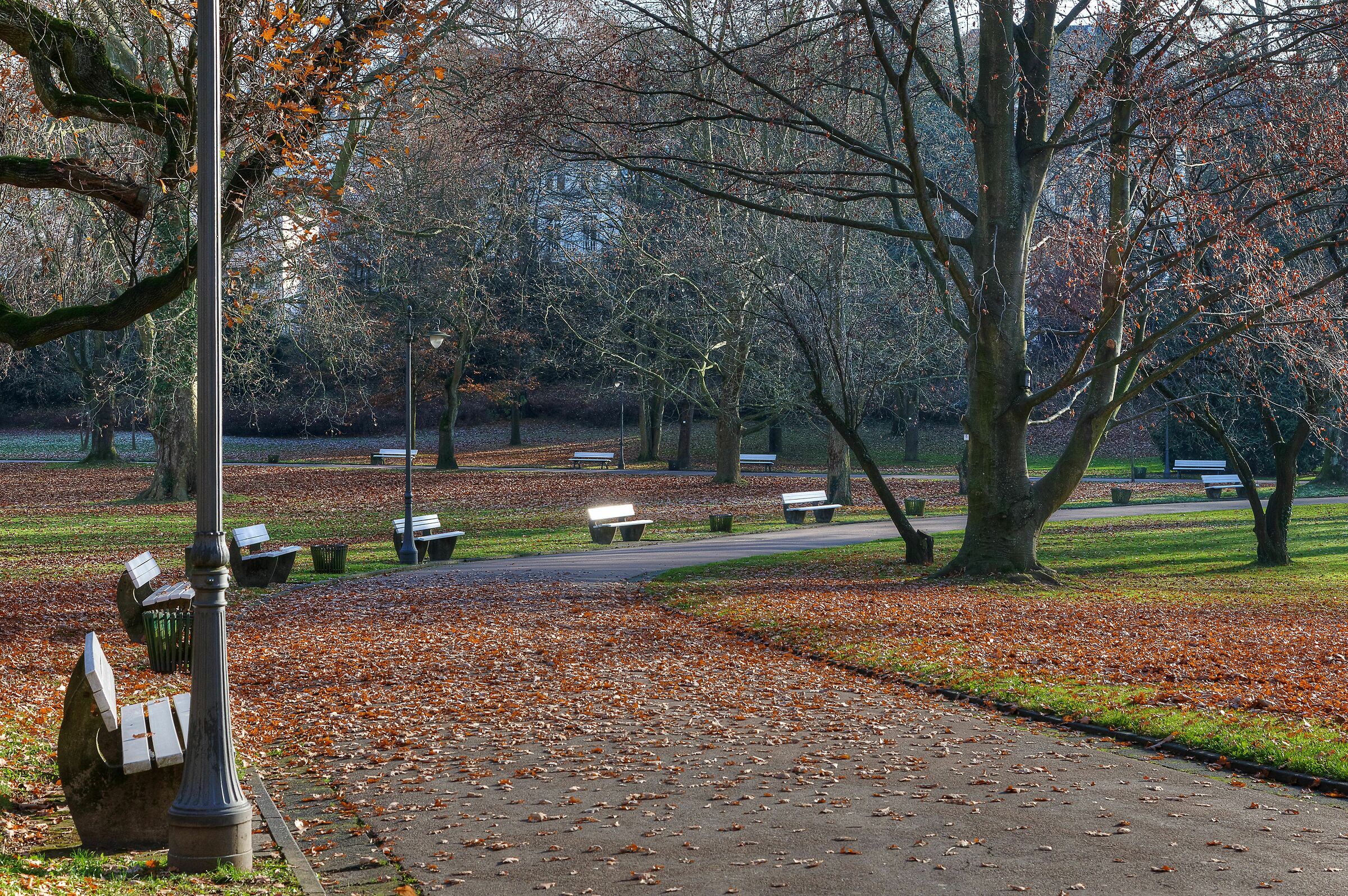 Fall in the Park; Wiesbaden, Germany