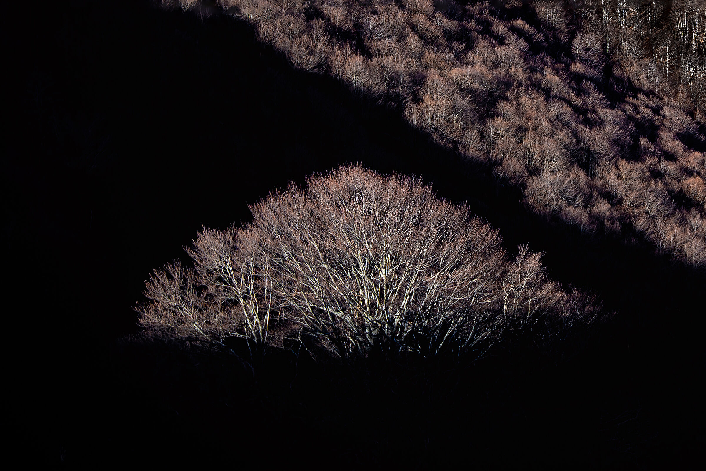 Emozioni in Val Grande