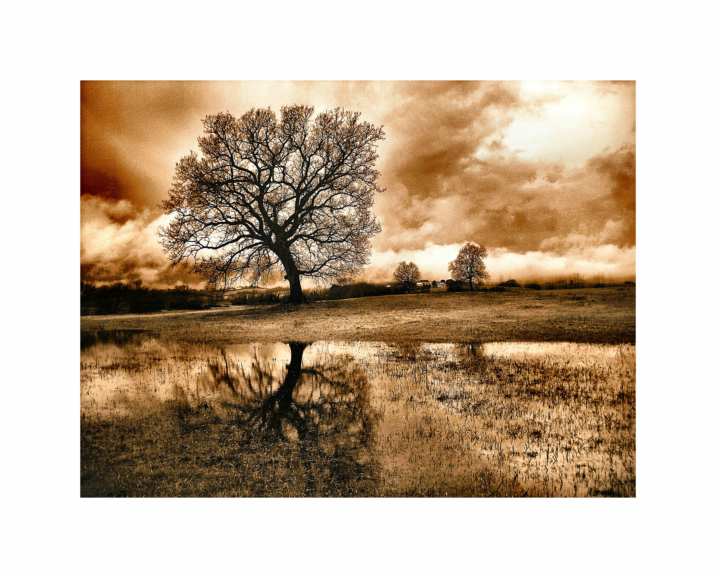 Novembre...dopo il temporale