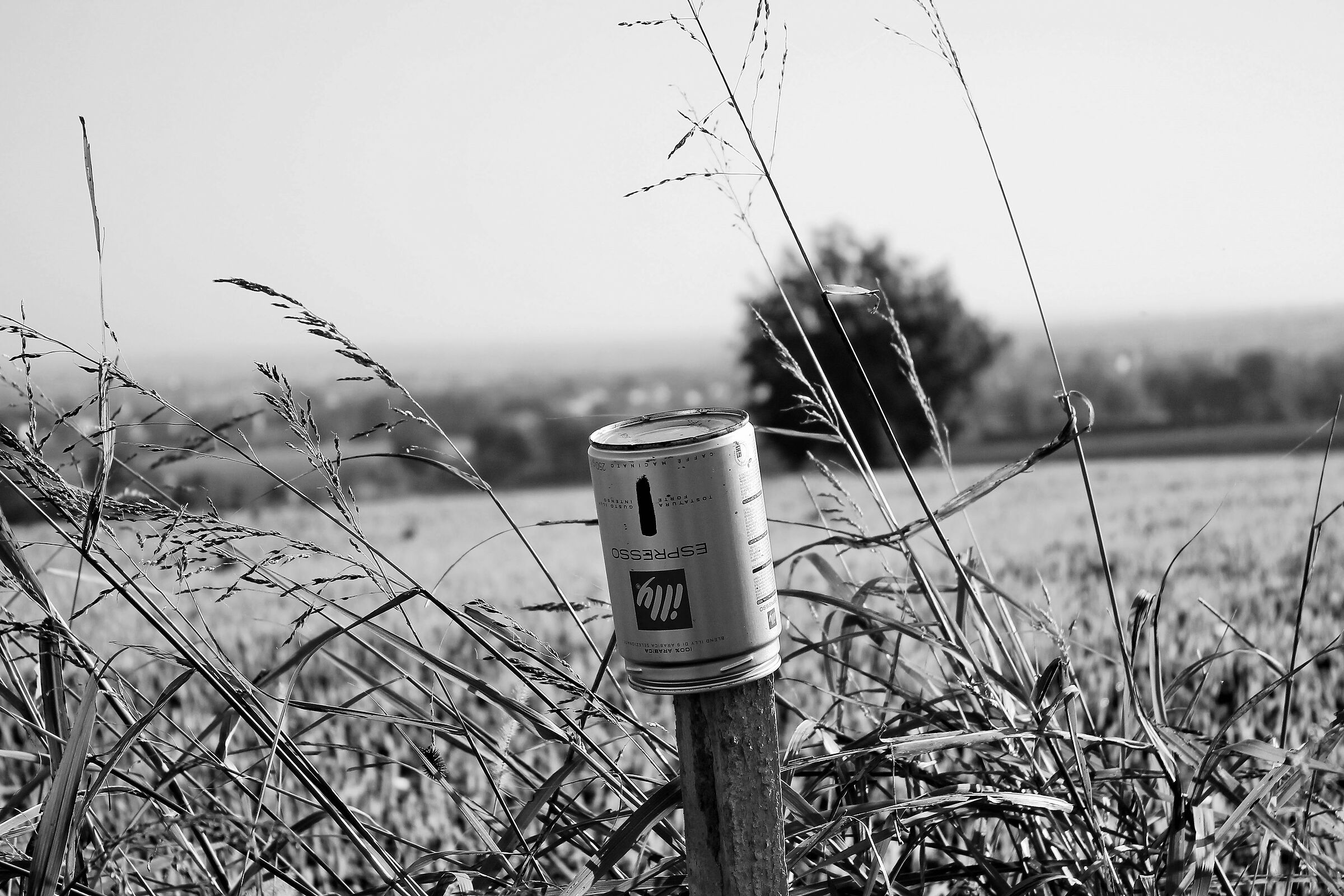 NOTHING IS THROWN AWAY IN THE COUNTRY