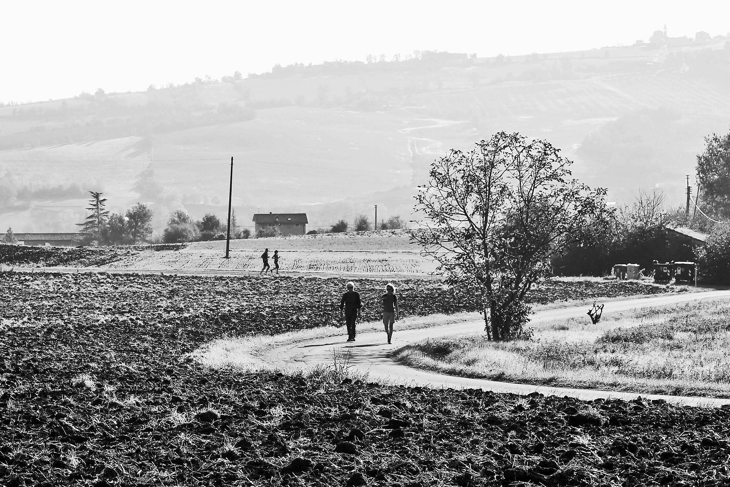 ZIGZAGANDFor FOR THE CAMPAGNA