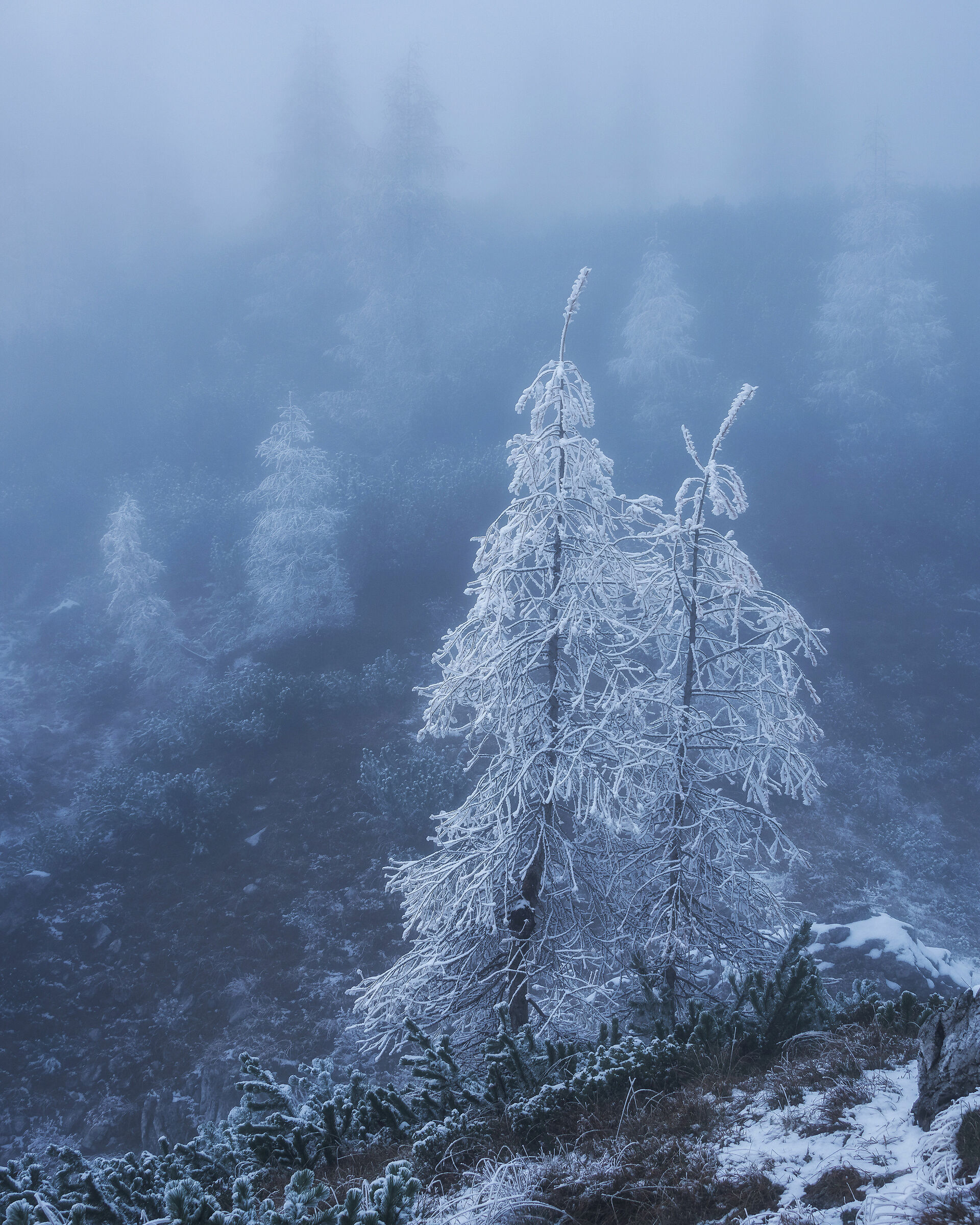 Ghosts in the mountains