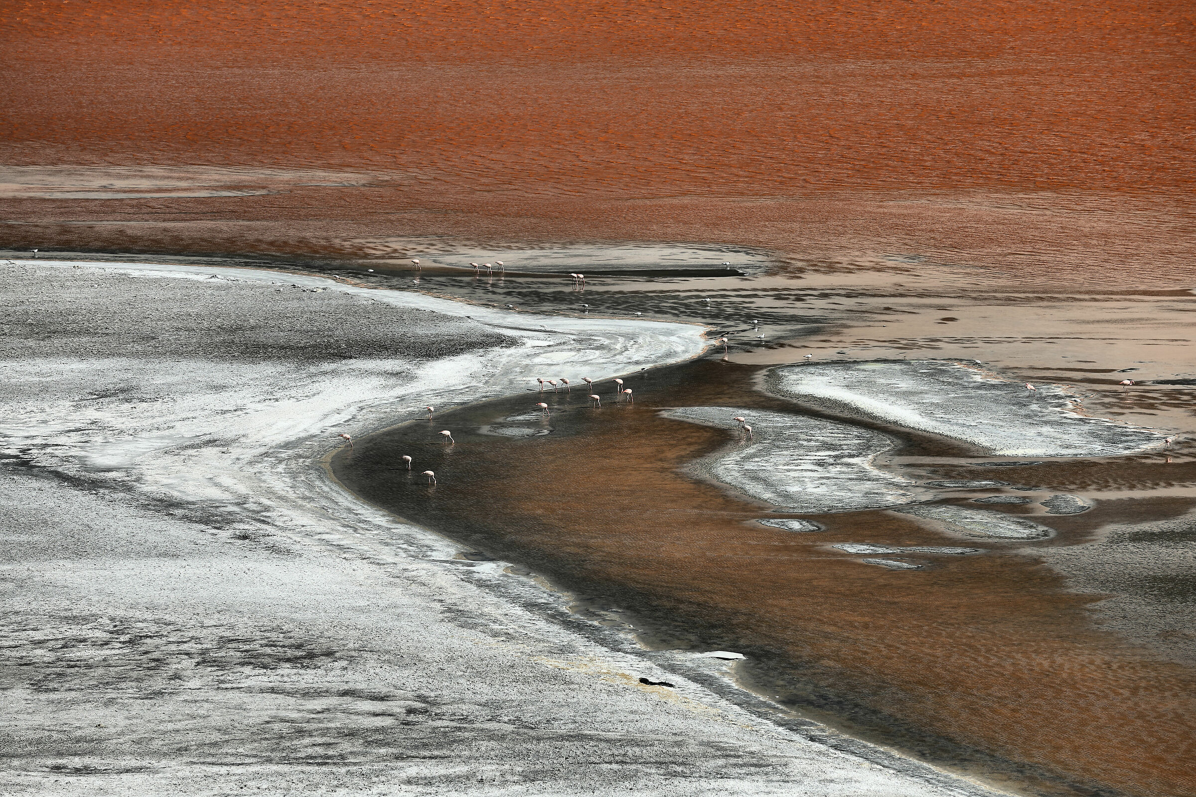 Untitled Photo