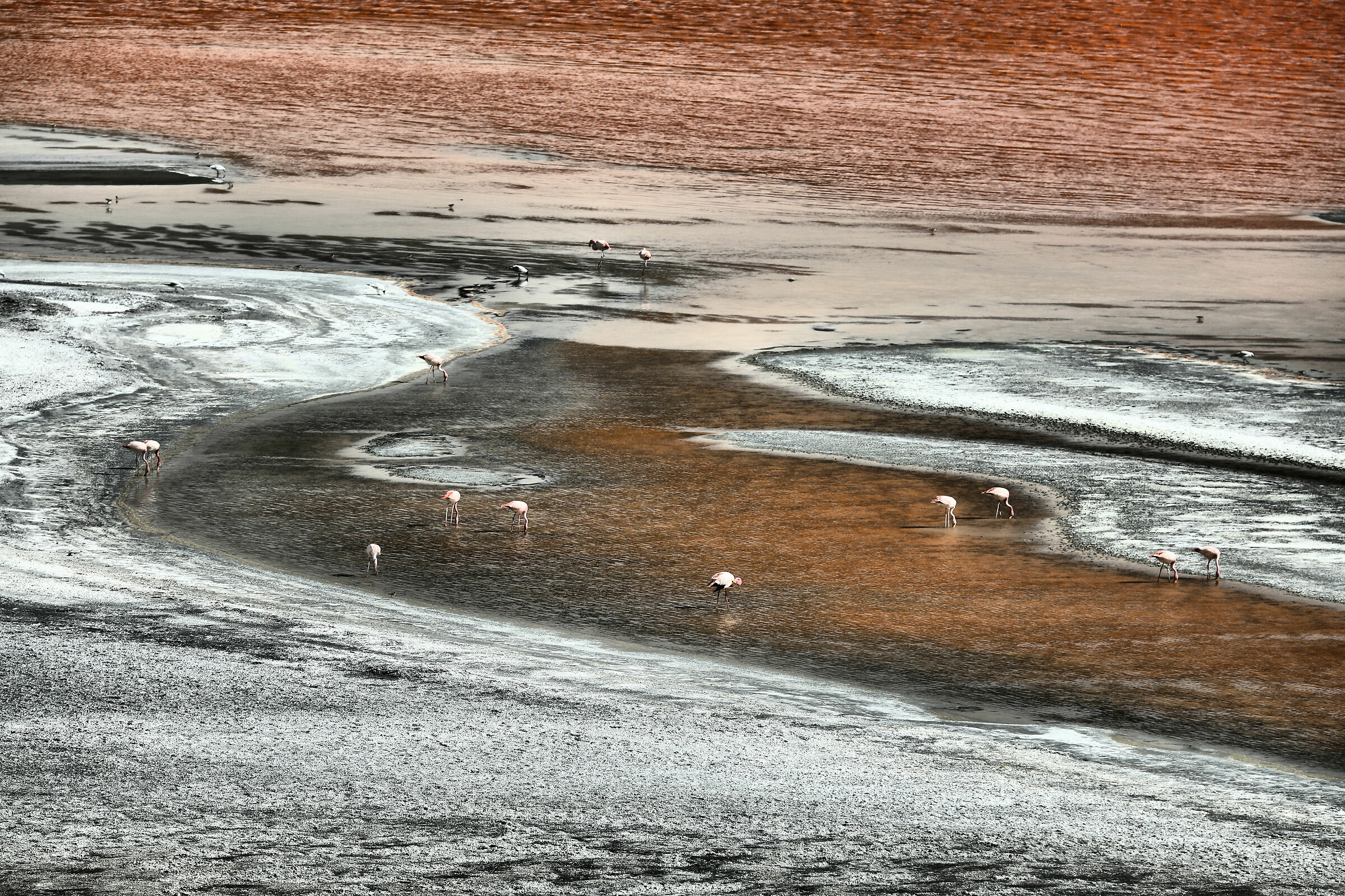 Untitled Photo