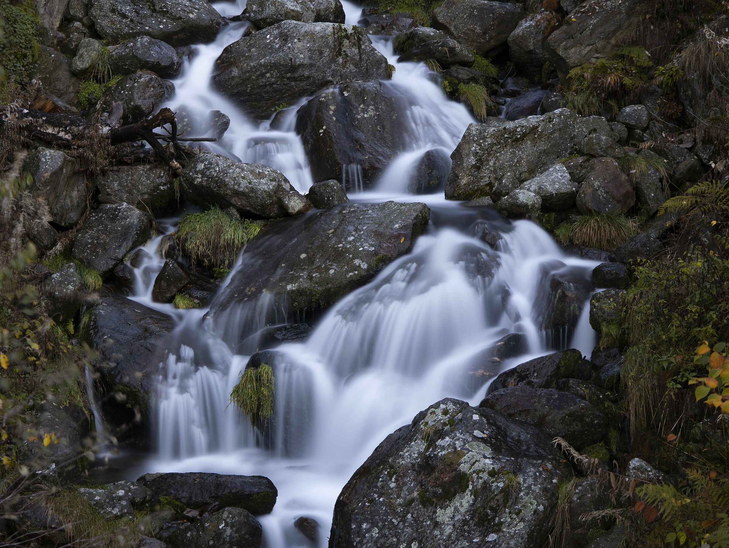 Torrente di montagna