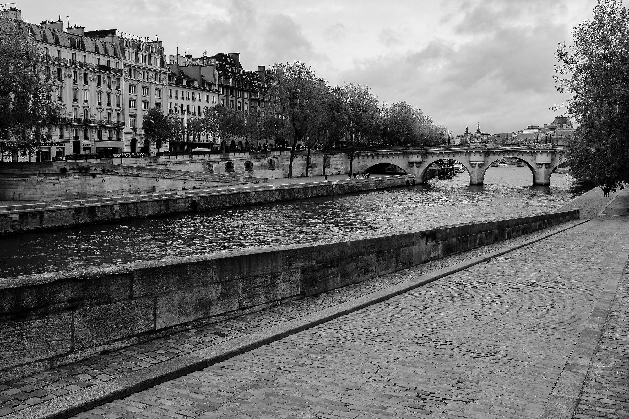 Long Seine