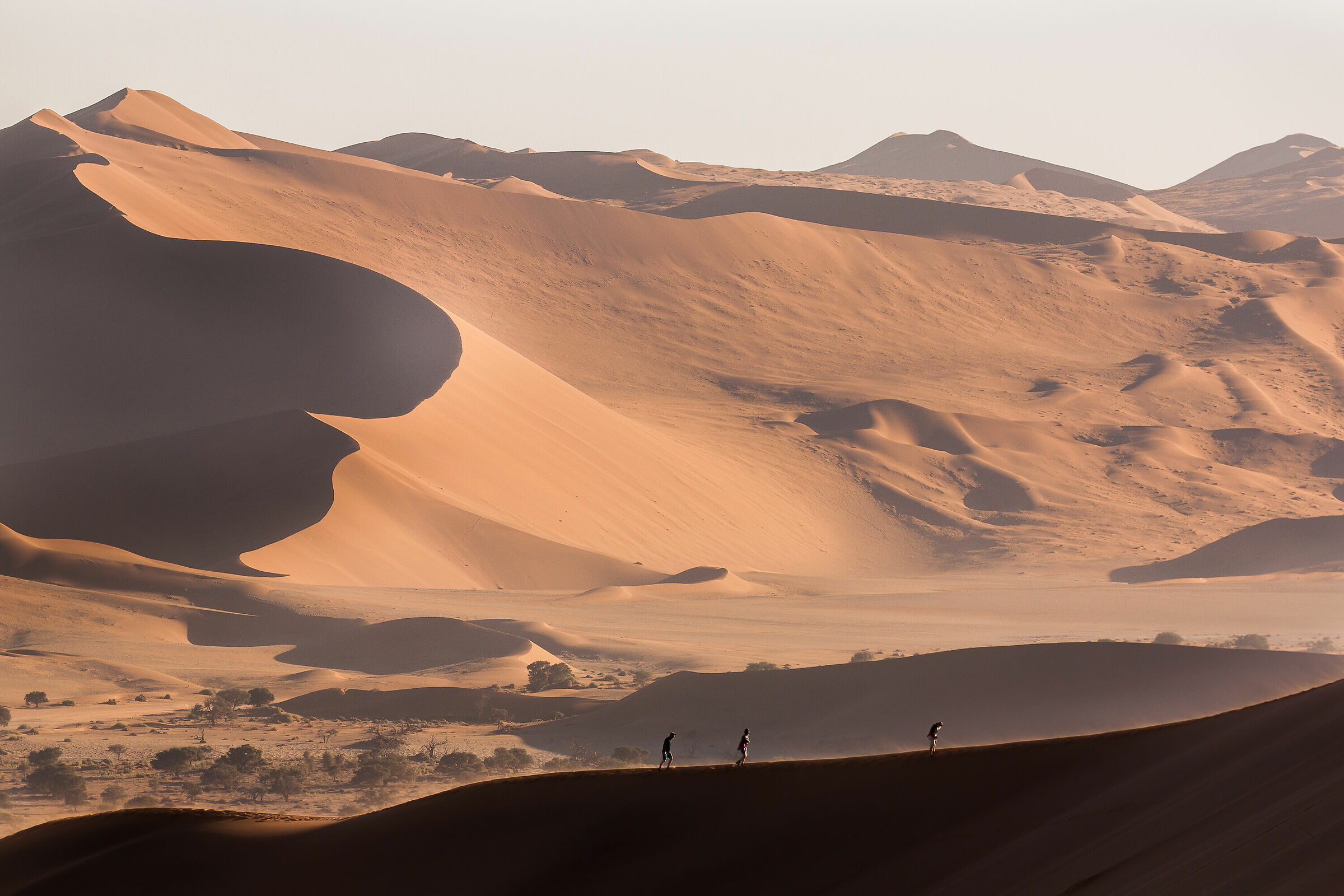 with the wind at a disadvantage 2