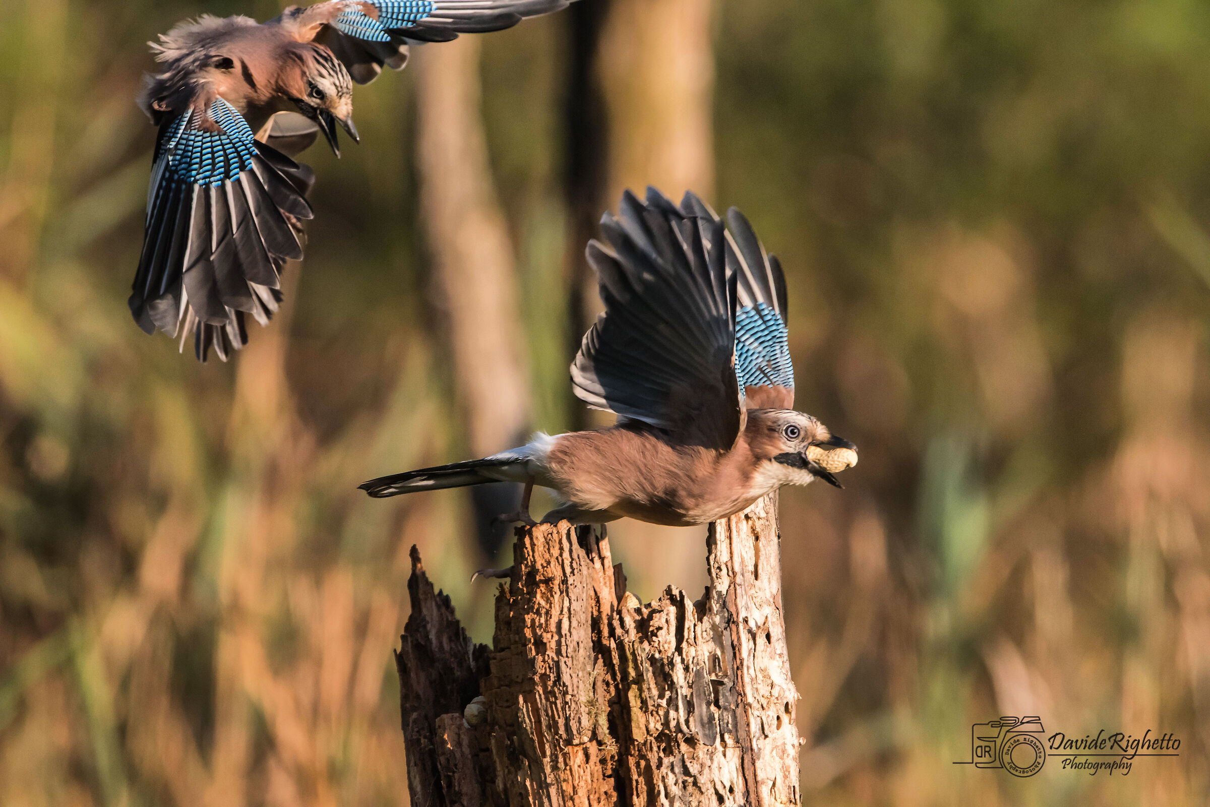 Lunch on the fly today...