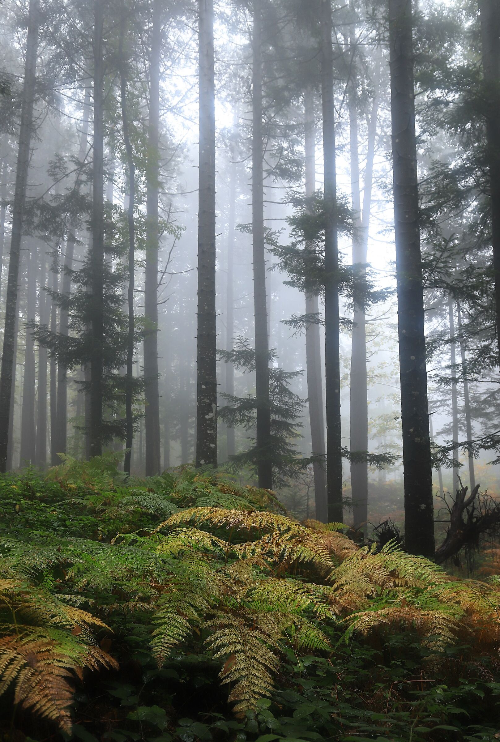 Il mio centro benessere