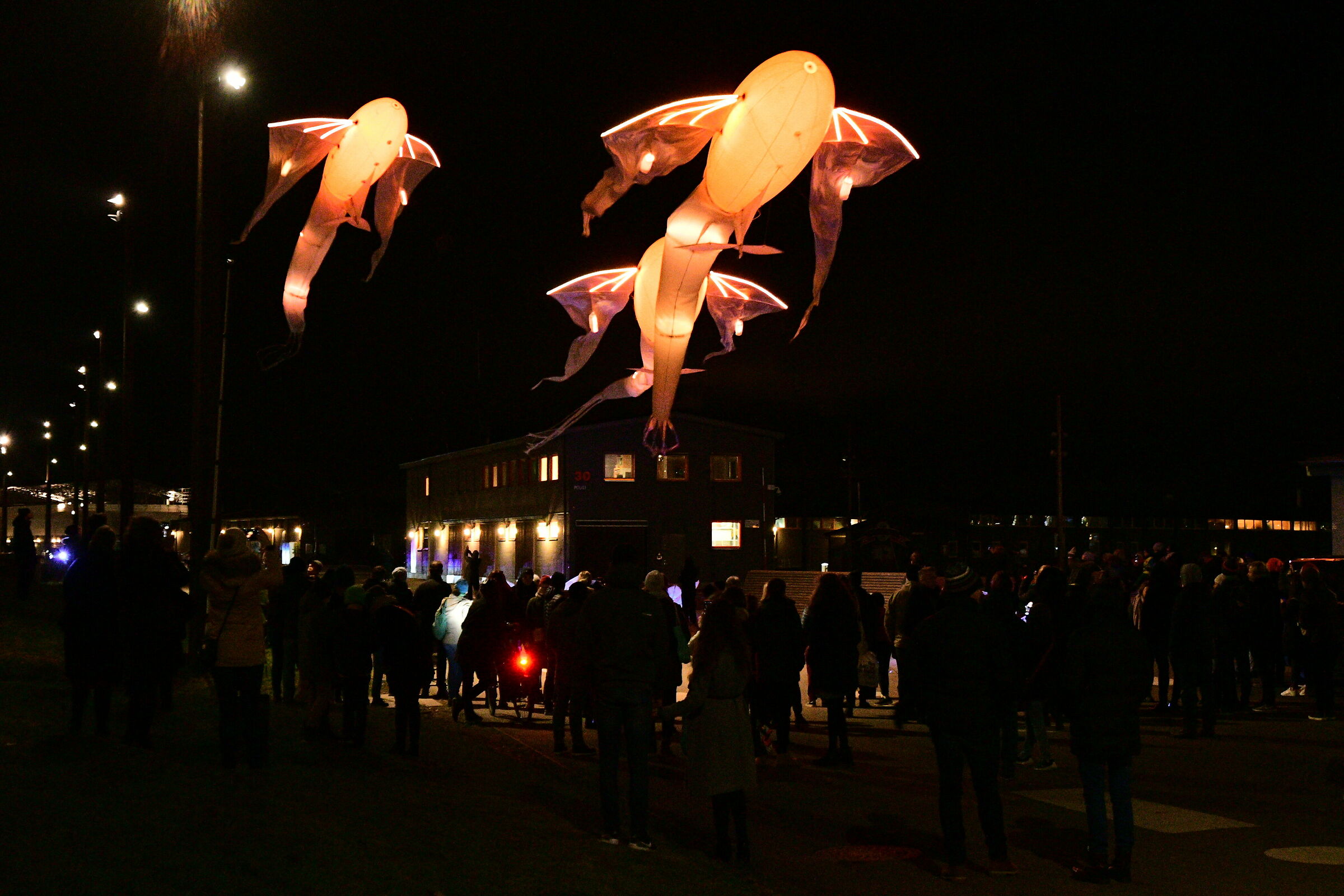 Quando la luce vola.