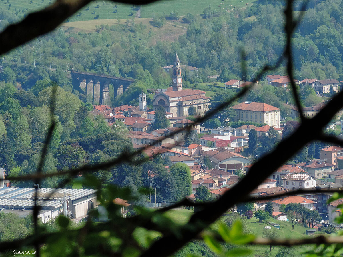 guardando attraverso i rami si scoprono paesaggi