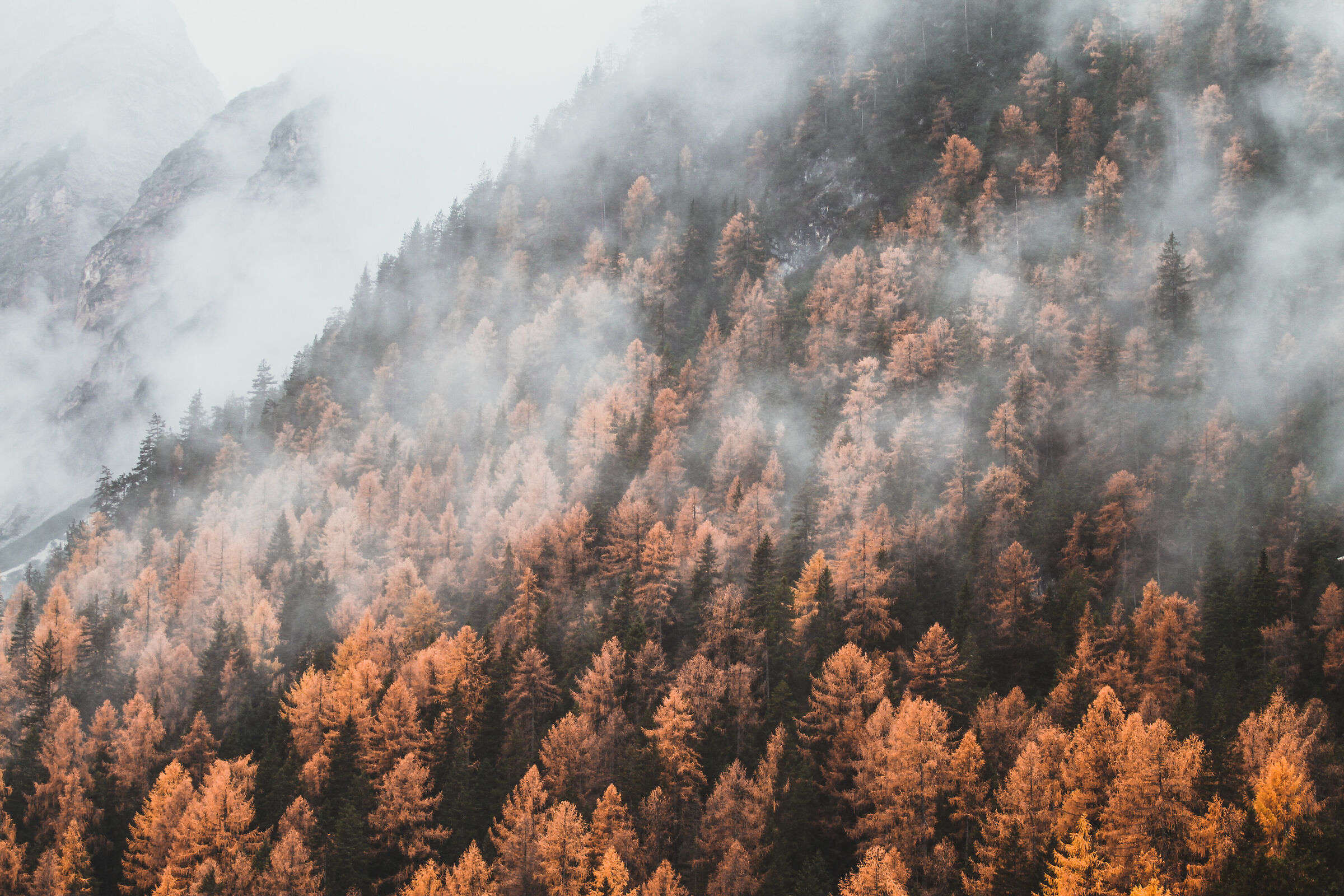 The colors of autumn