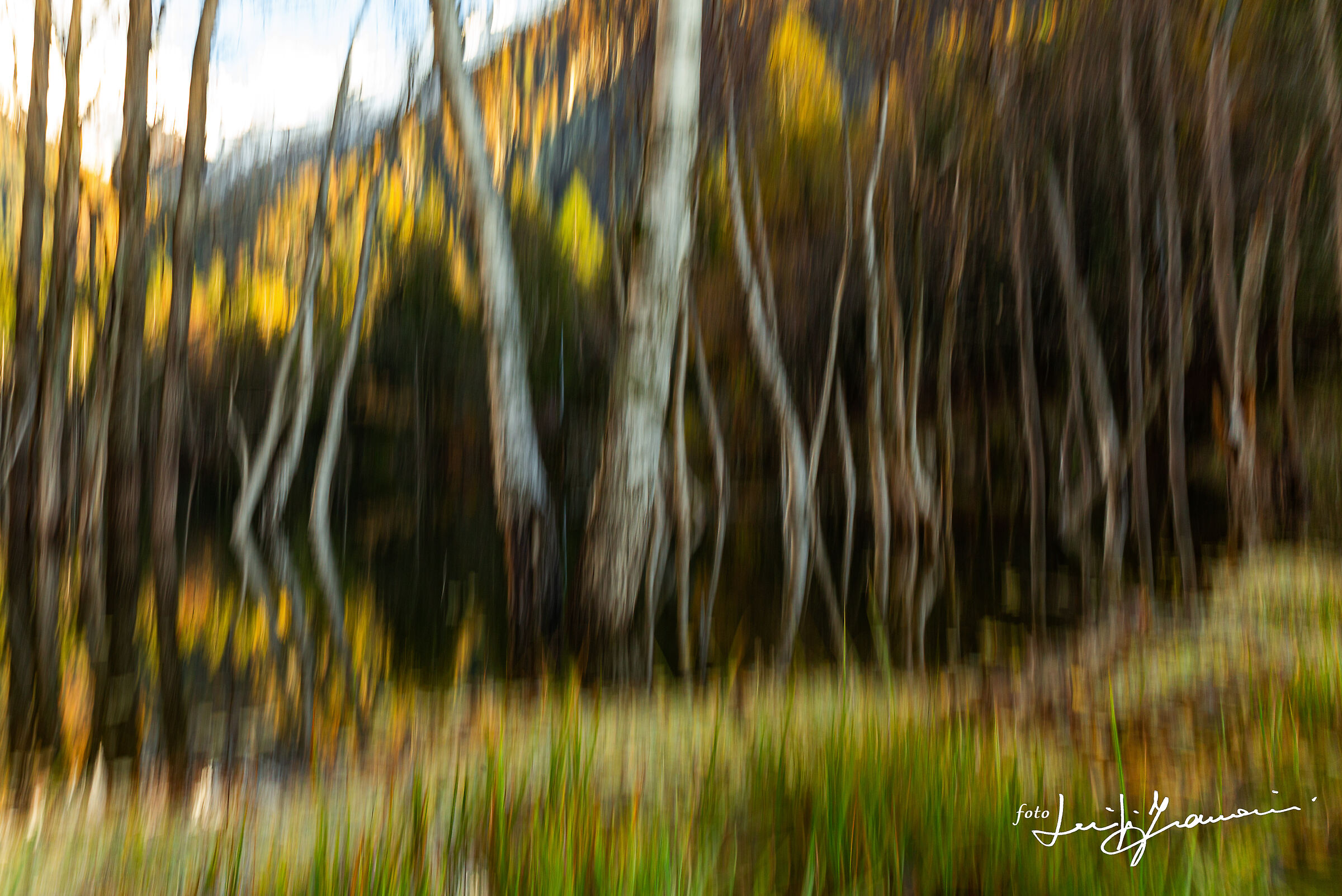 Autumn (move wanted)