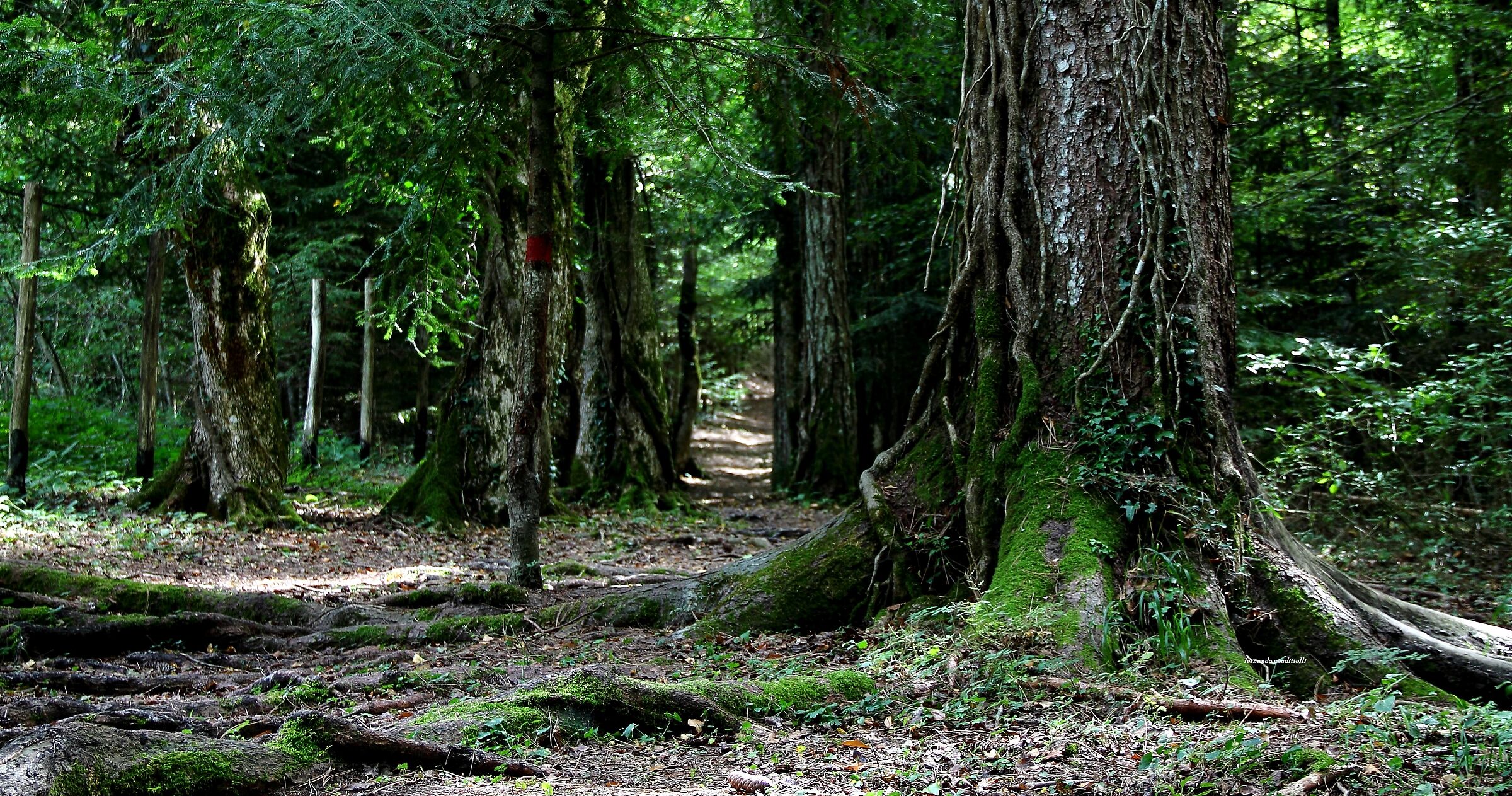 l'Uomo e l'ambiente...