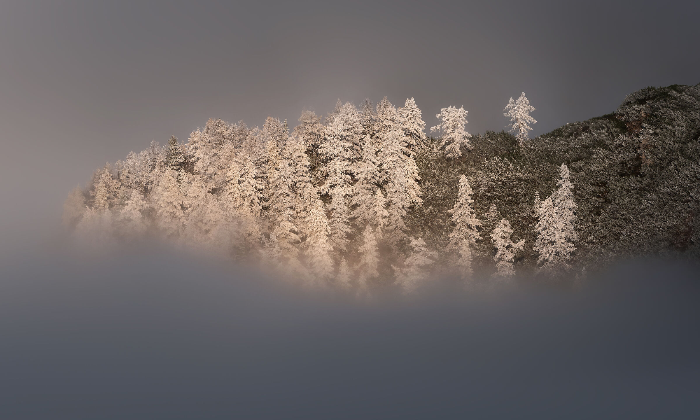 Galleggiante nel cielo