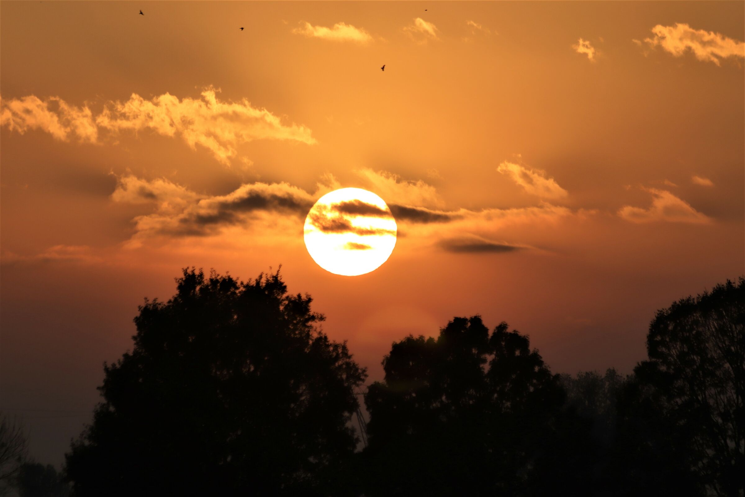 inizio tramonto oggi 17,00