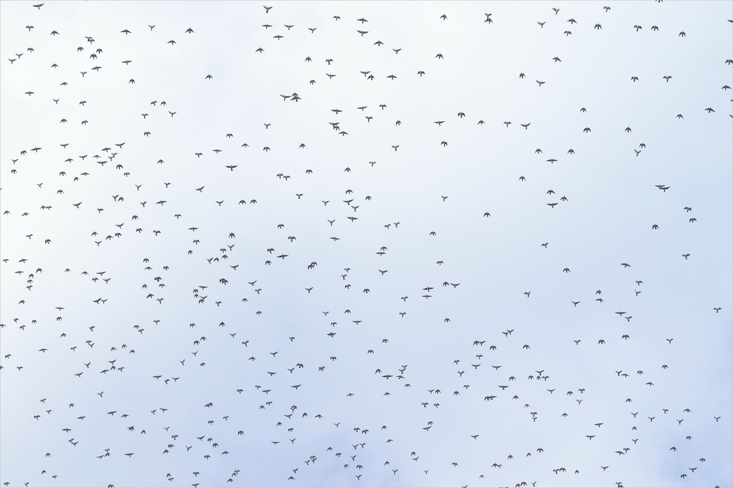 al mio via "scatenate l'inferno"