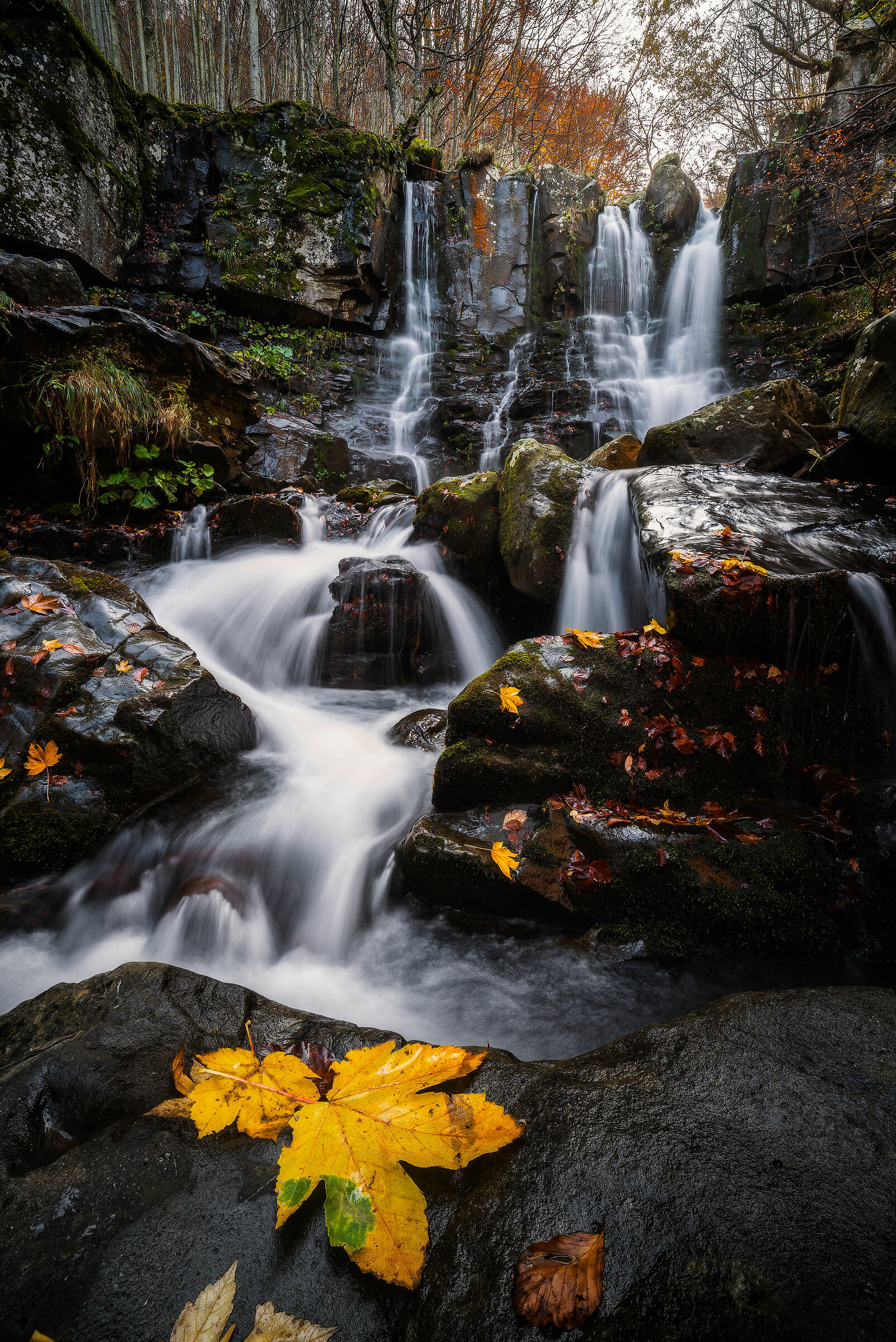 Cascate del Dardagna in veste autunnale