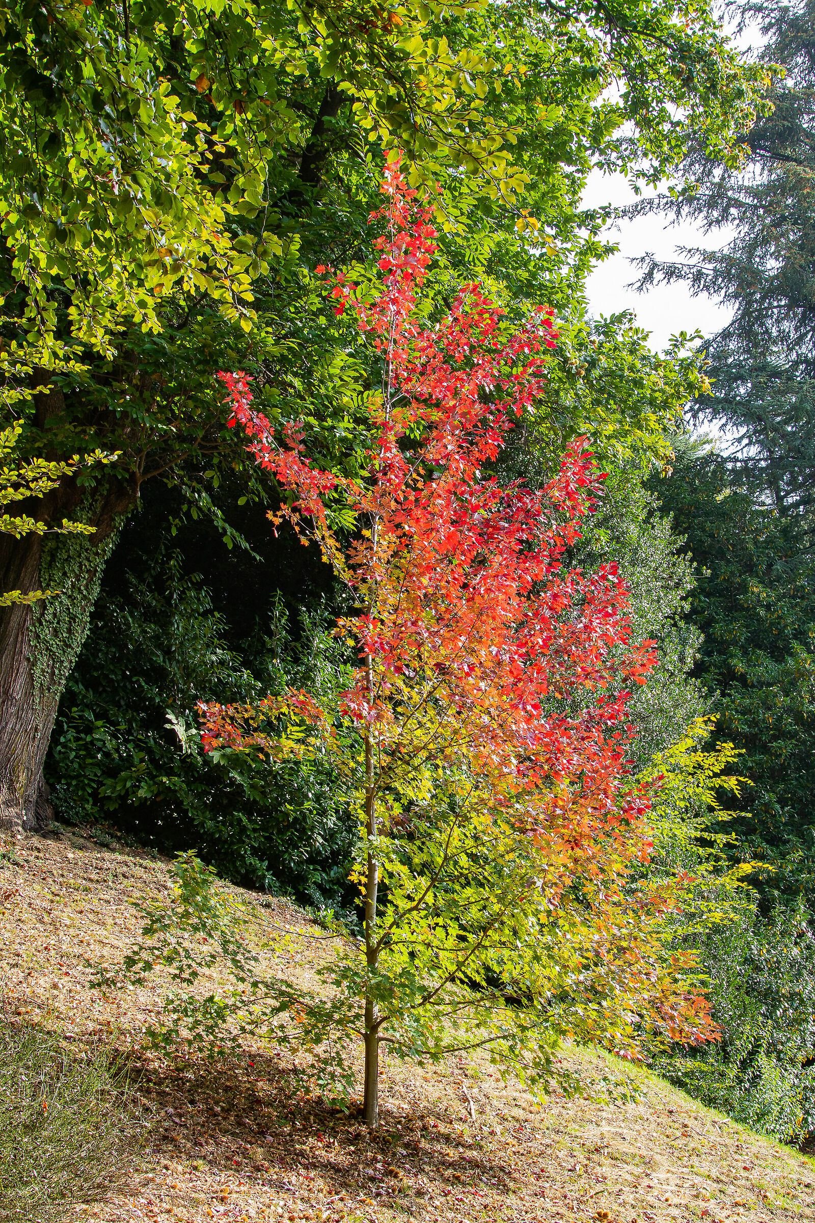 early changes ahead of autumn