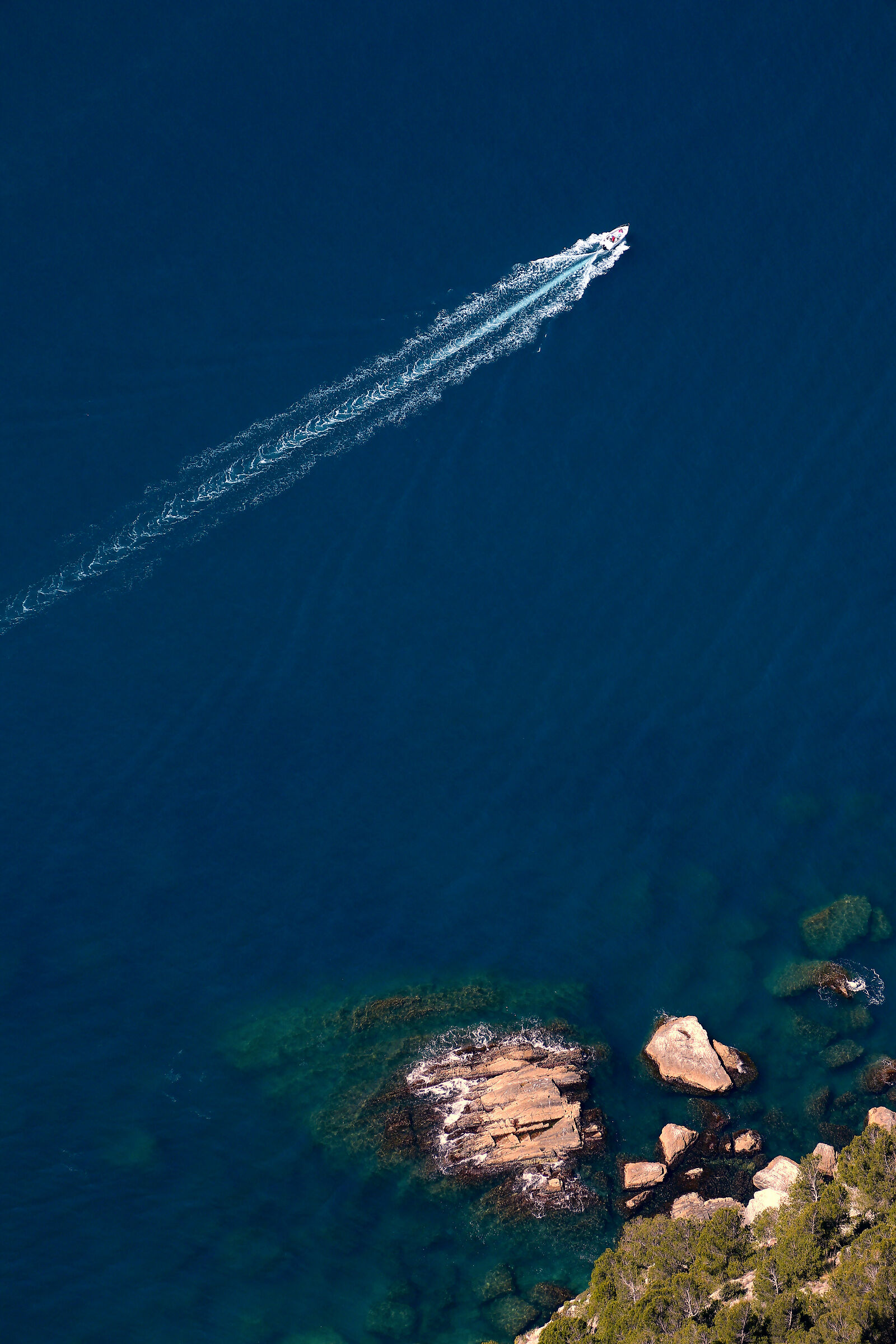 La barca