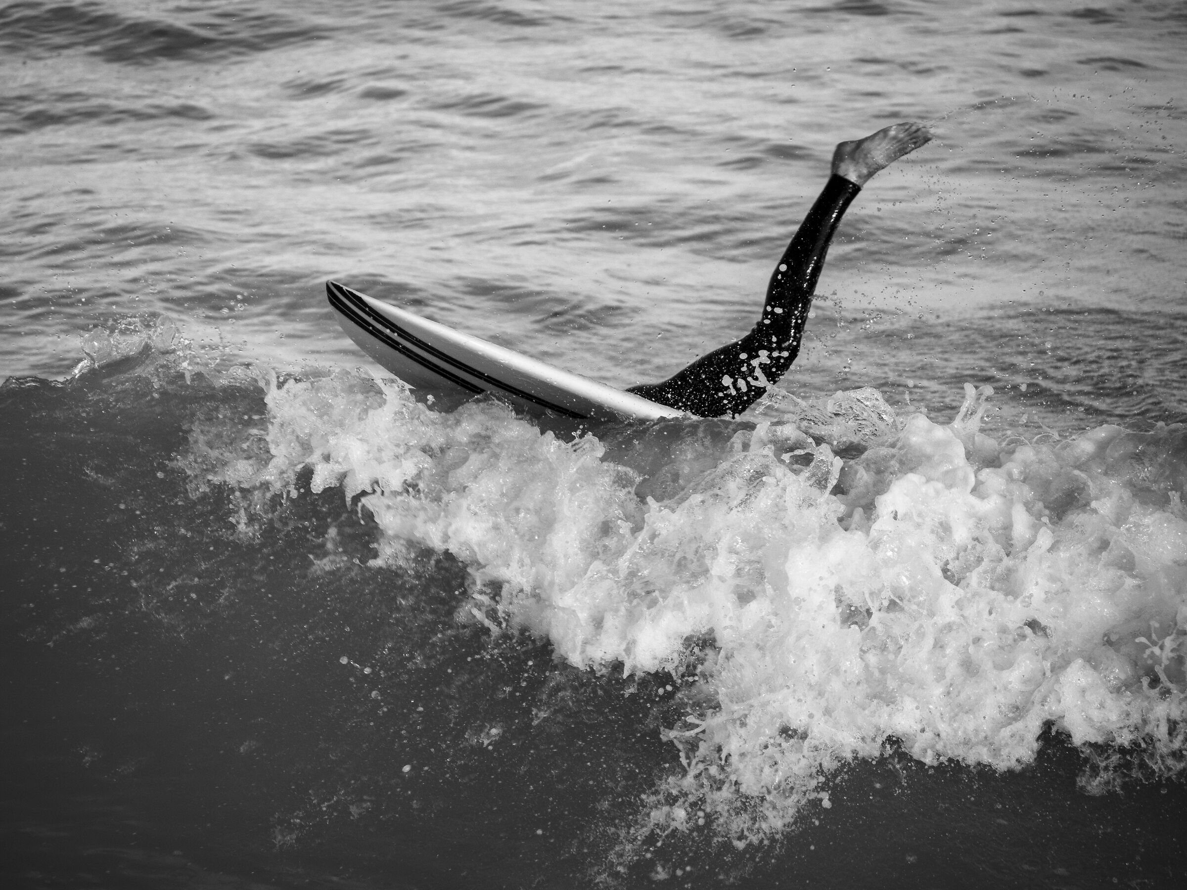 A surfer... Leg!