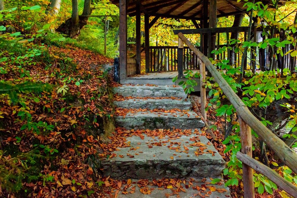 Kostenec Nikon 7200 -Nikkor 18-140