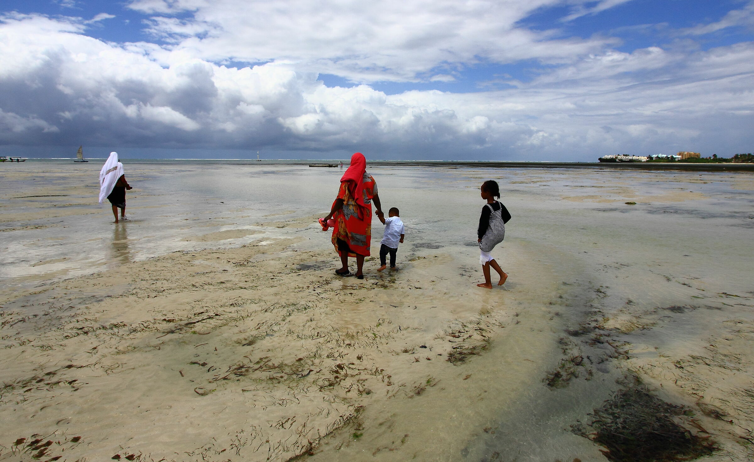 passeggiata con bassa marea
