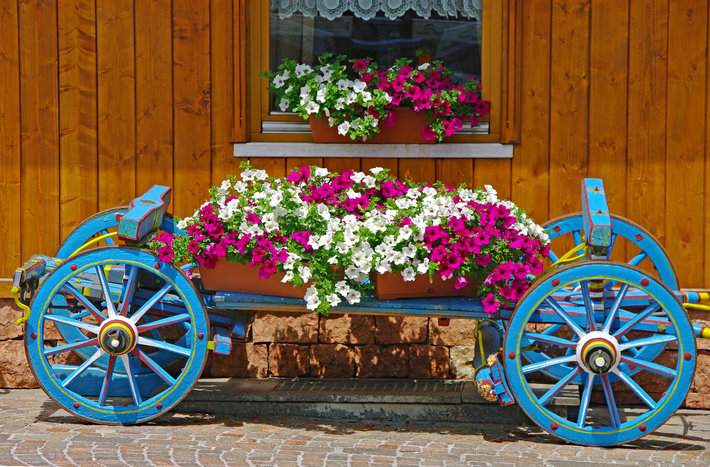 "Portafiori" (Trentino)