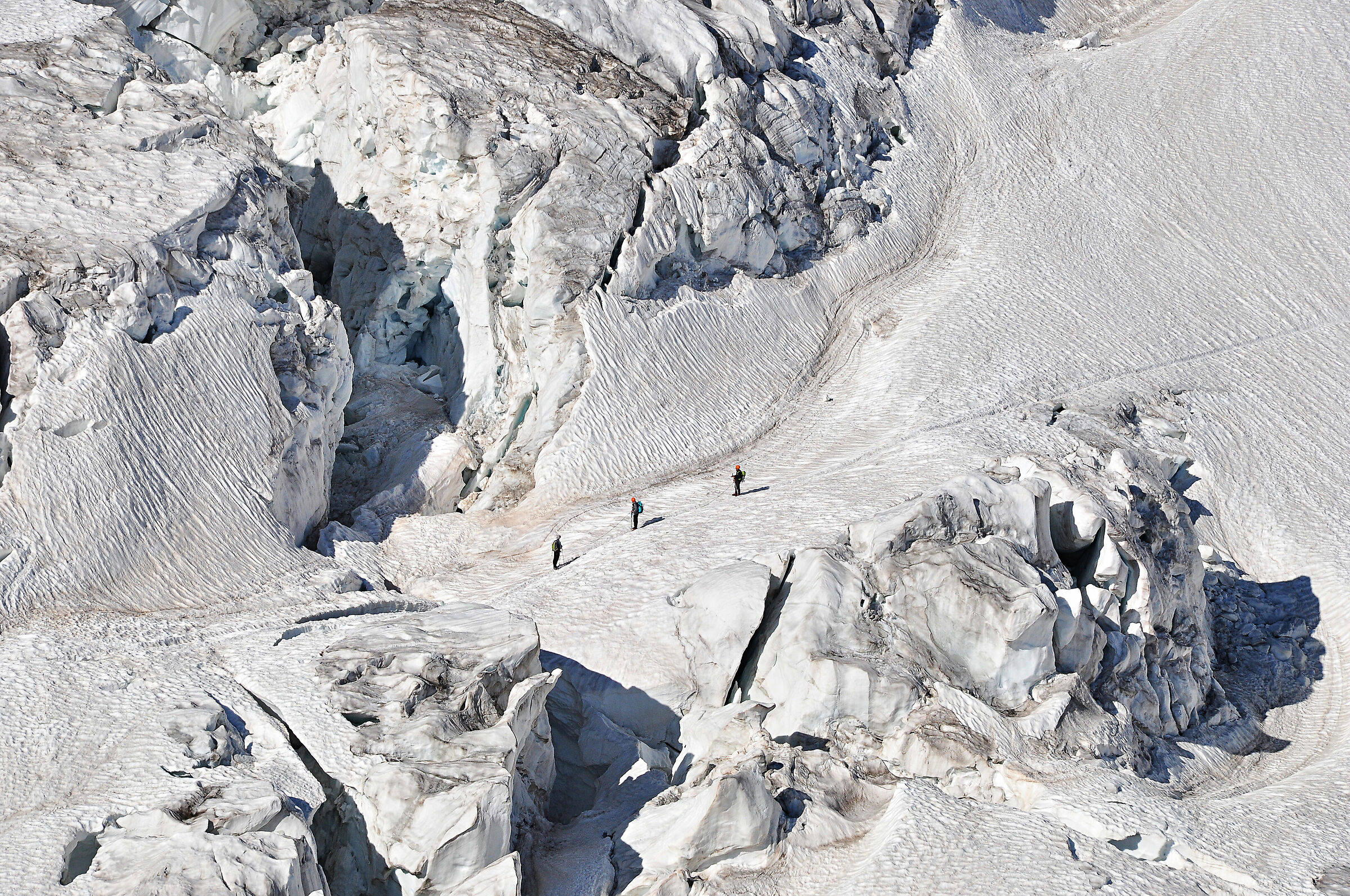 walk through the evenings of White