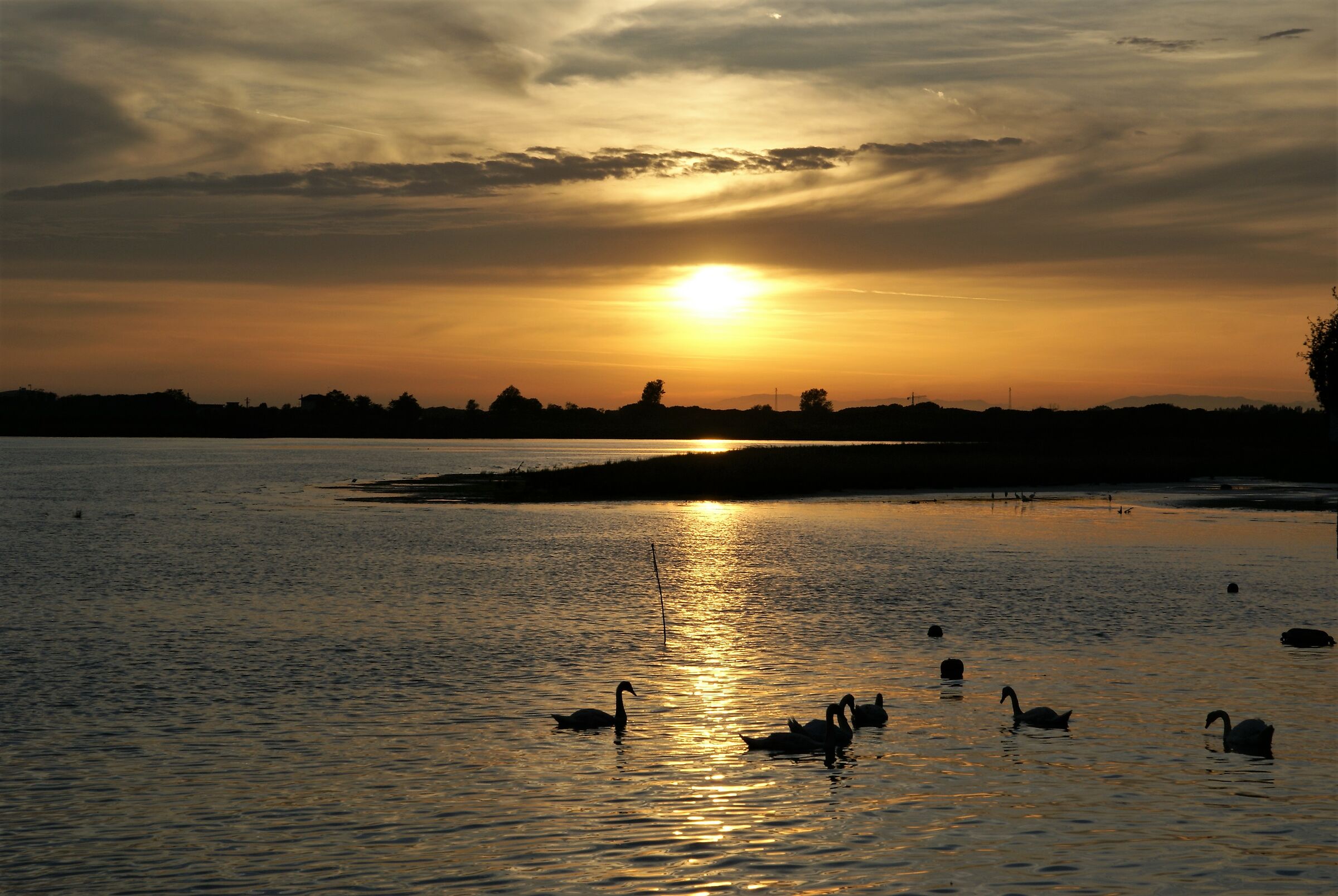 Alla foce del Tagliamento