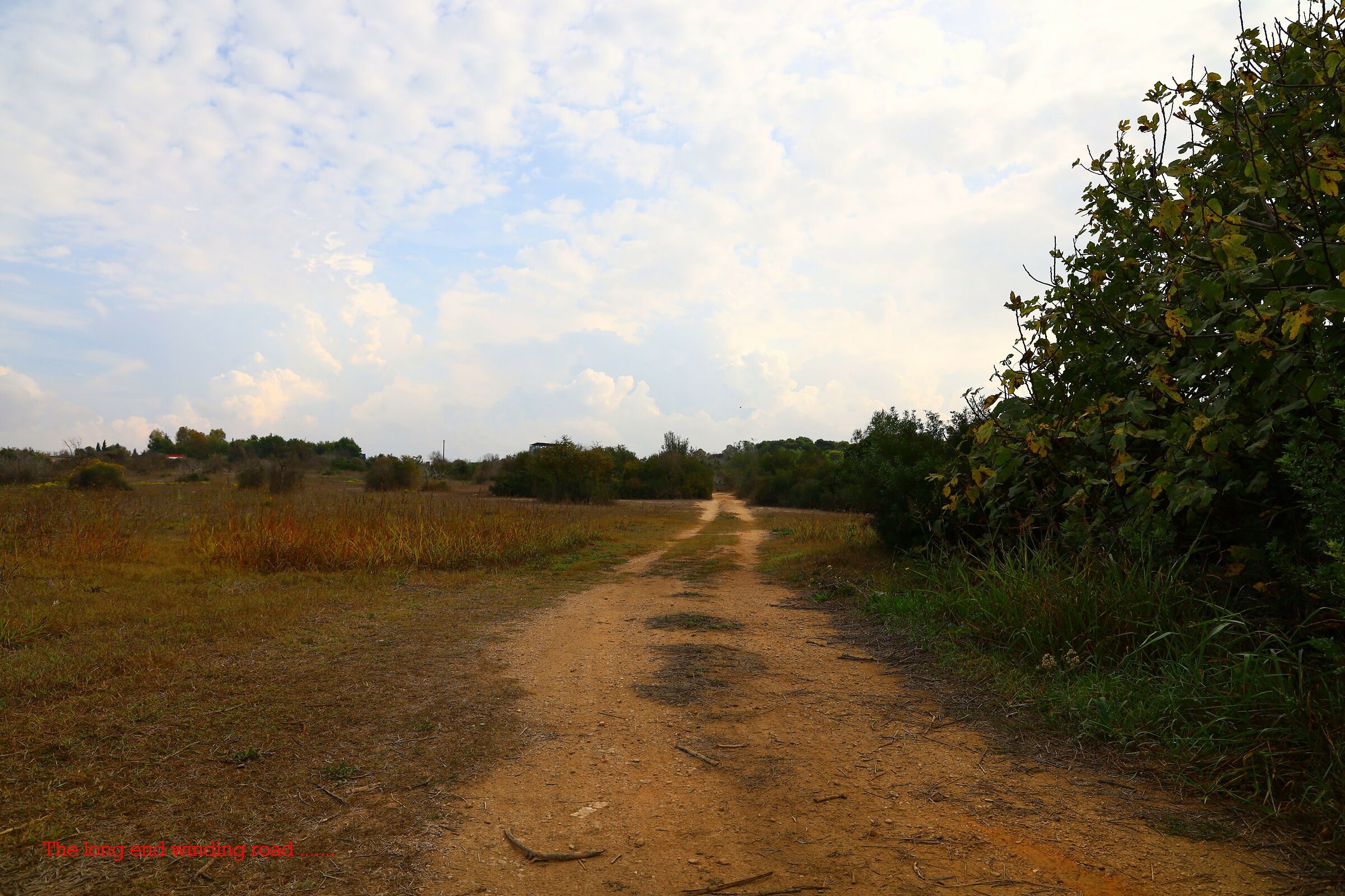 The long and winding road