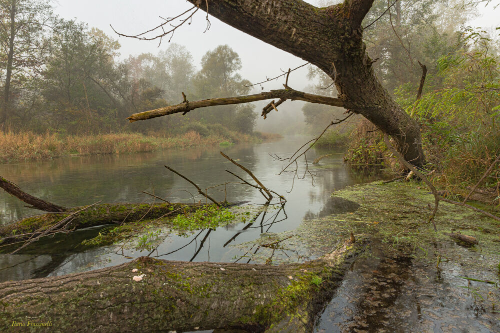 Autunno alle Fontane bianche