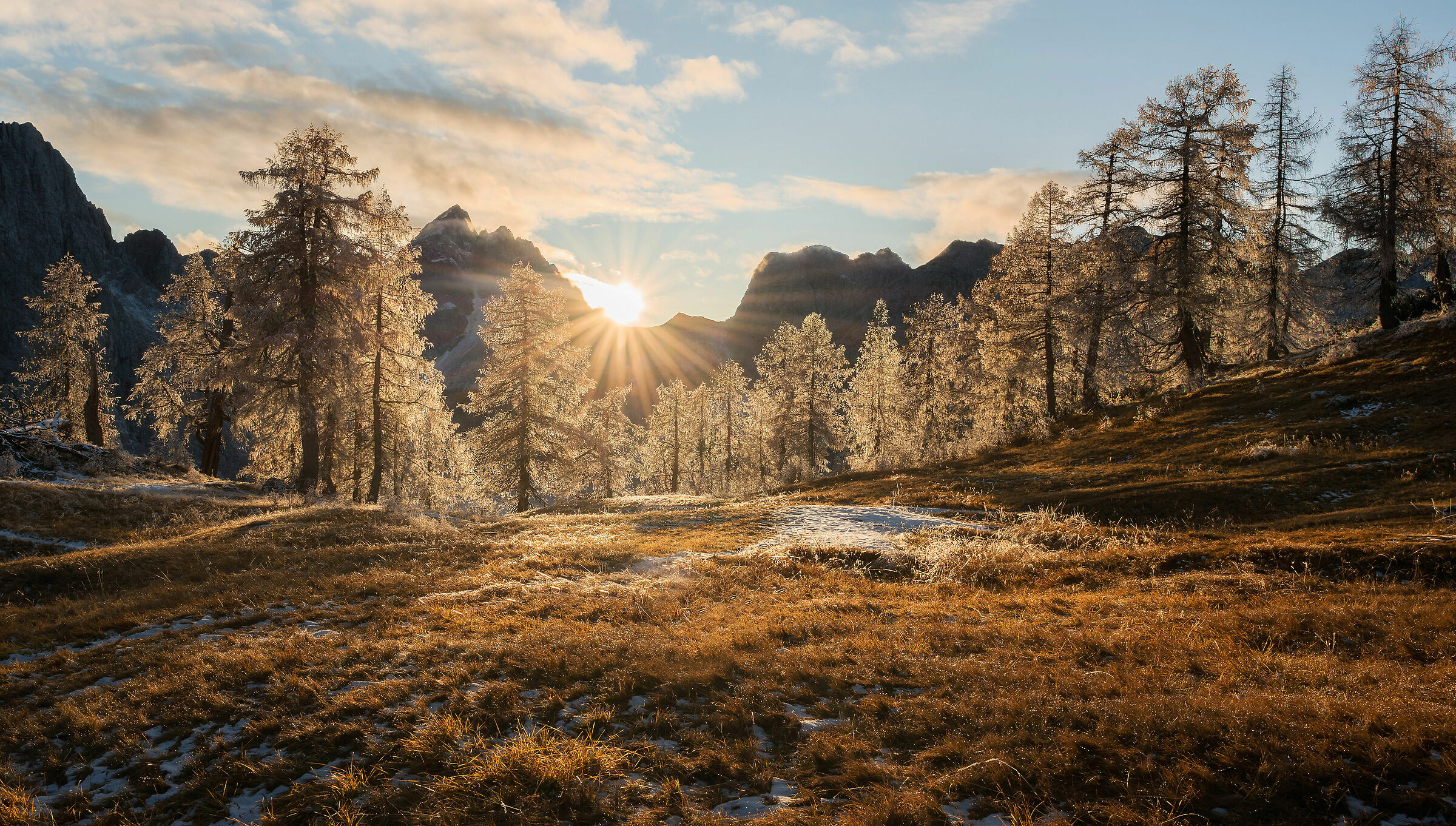 Frost glittering in the evening sunlight