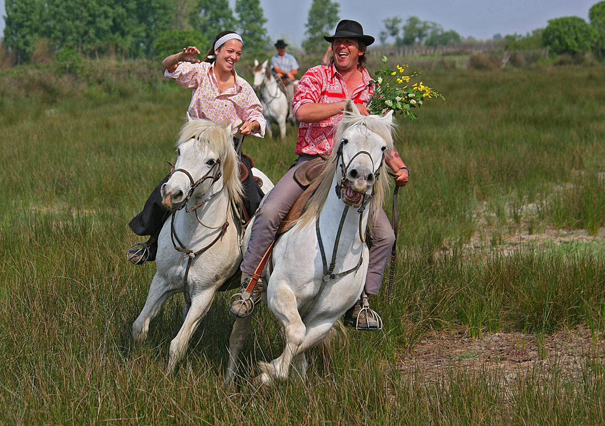 Camargue1