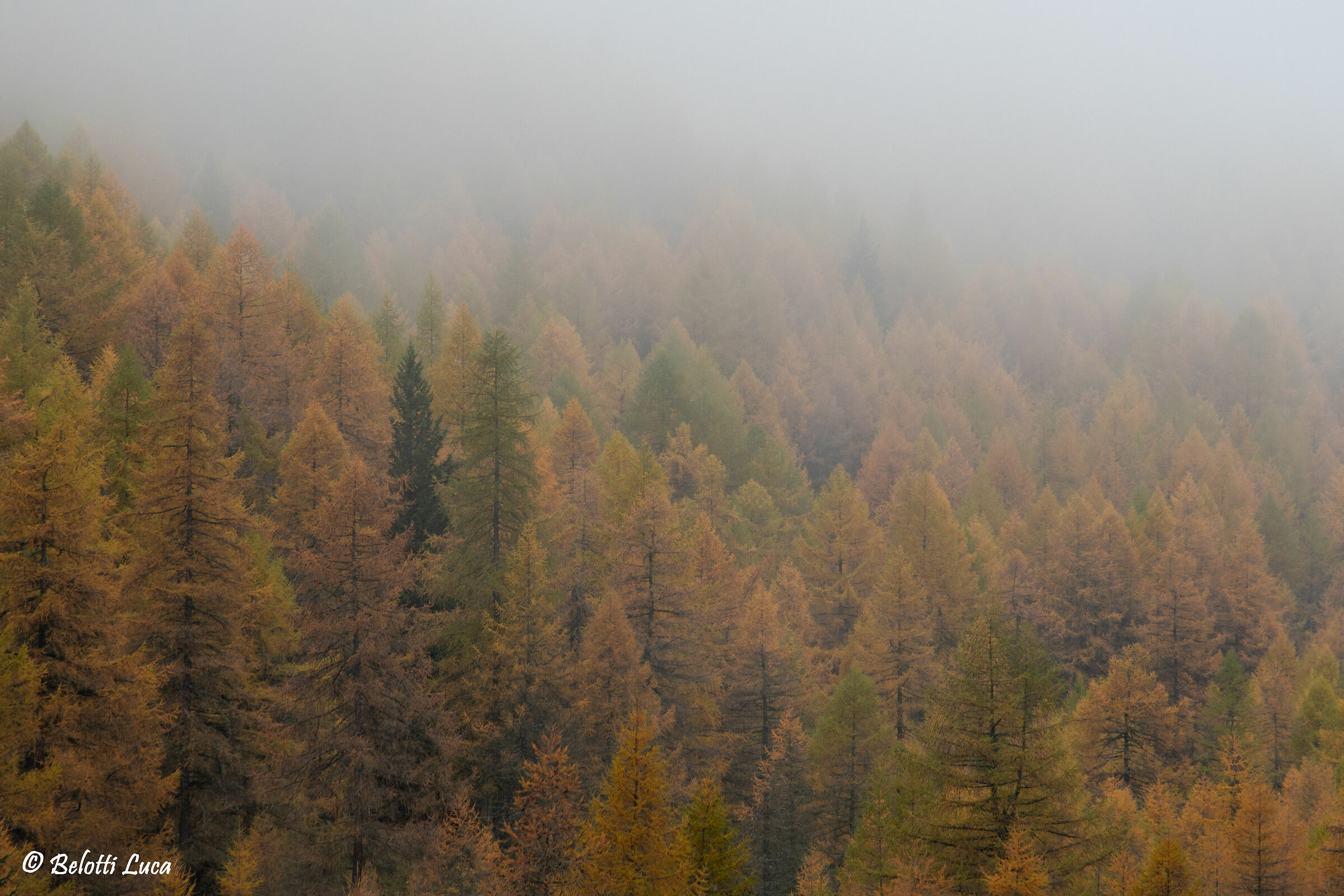 Colori che sbiadiscono