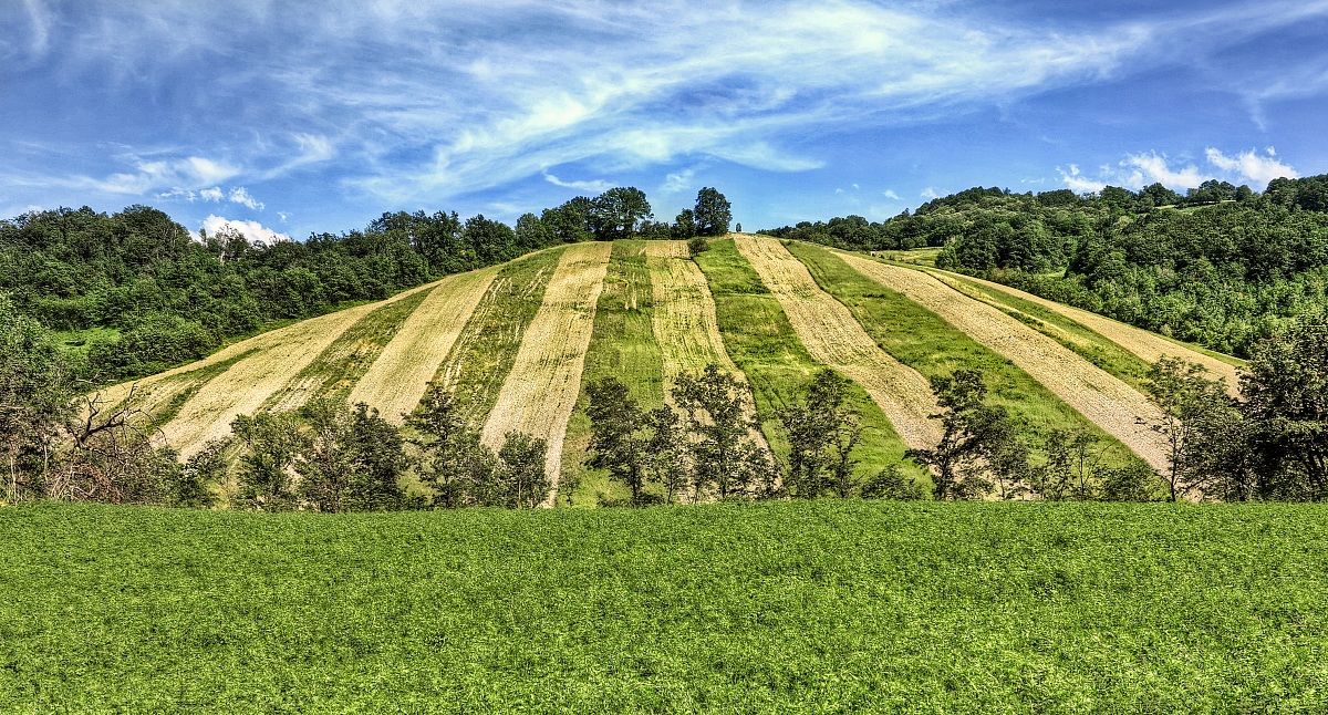 From parts of Ospitaletto ...