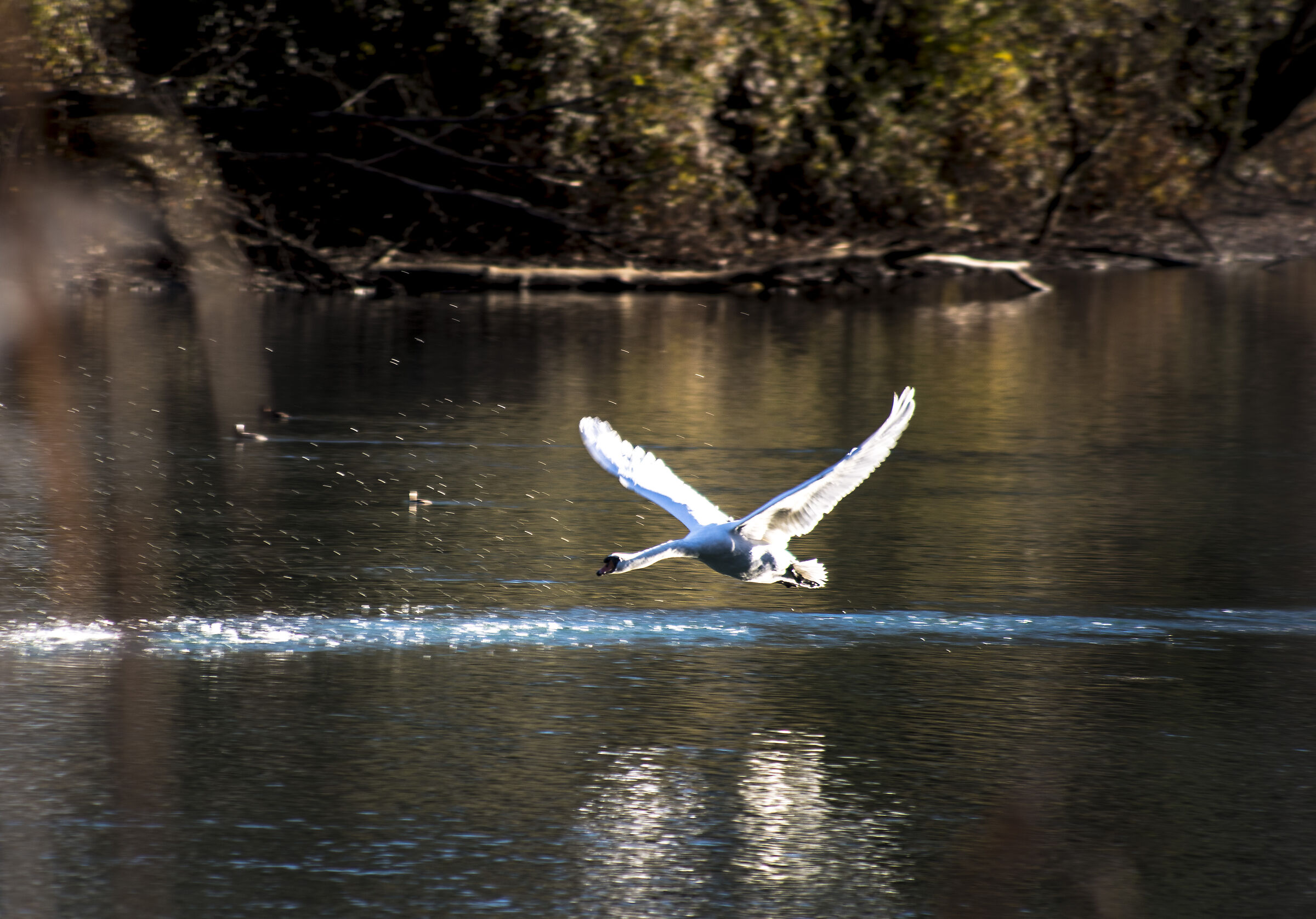 Takeoff from Brivio (Lecco)