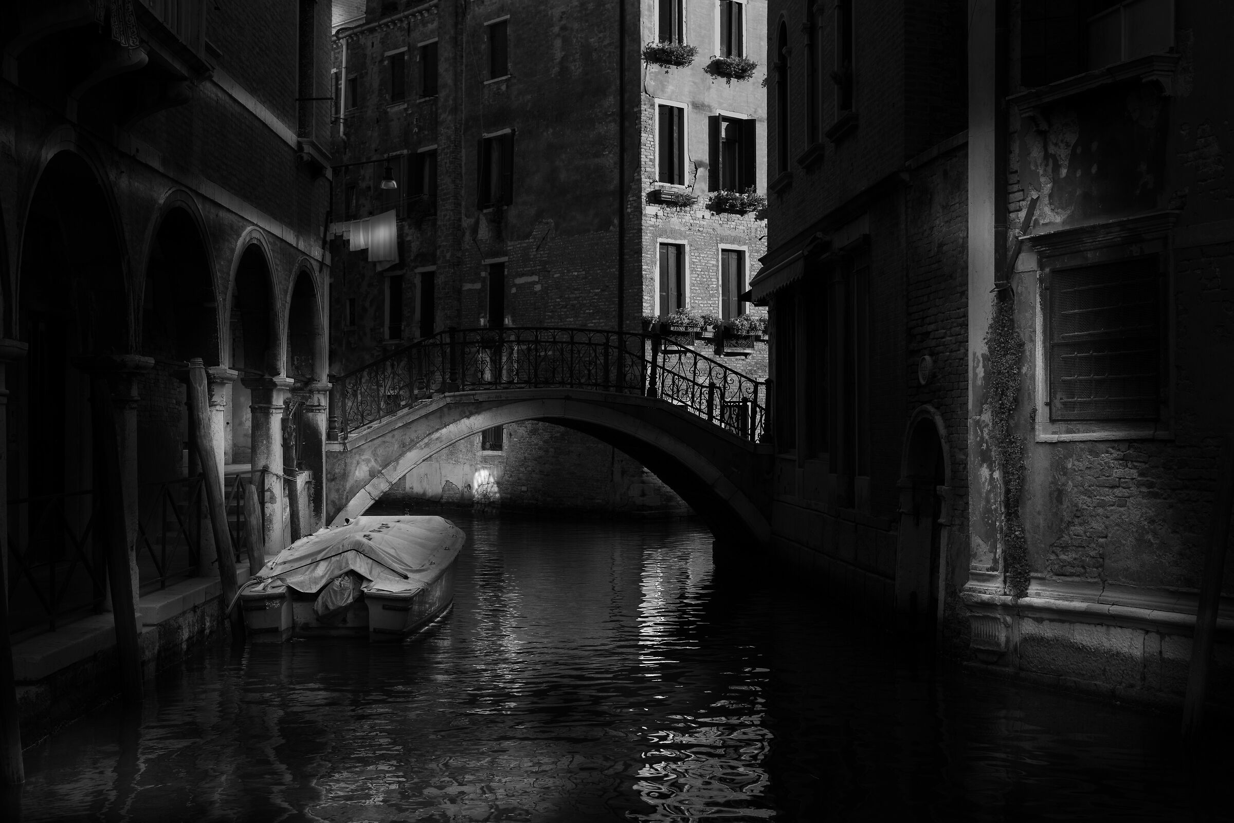 Untitled Photo
