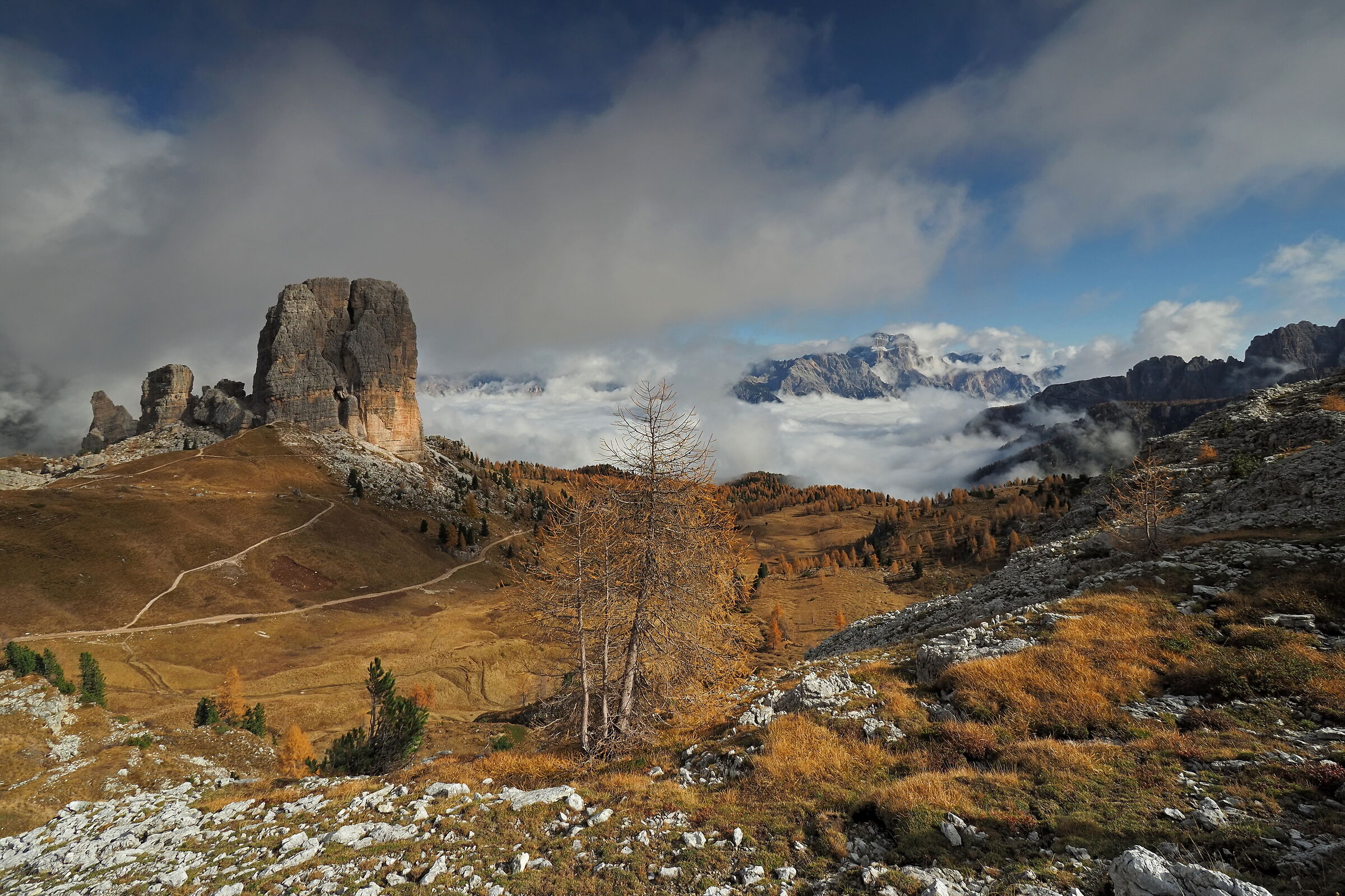La felicità in uno sguardo 2