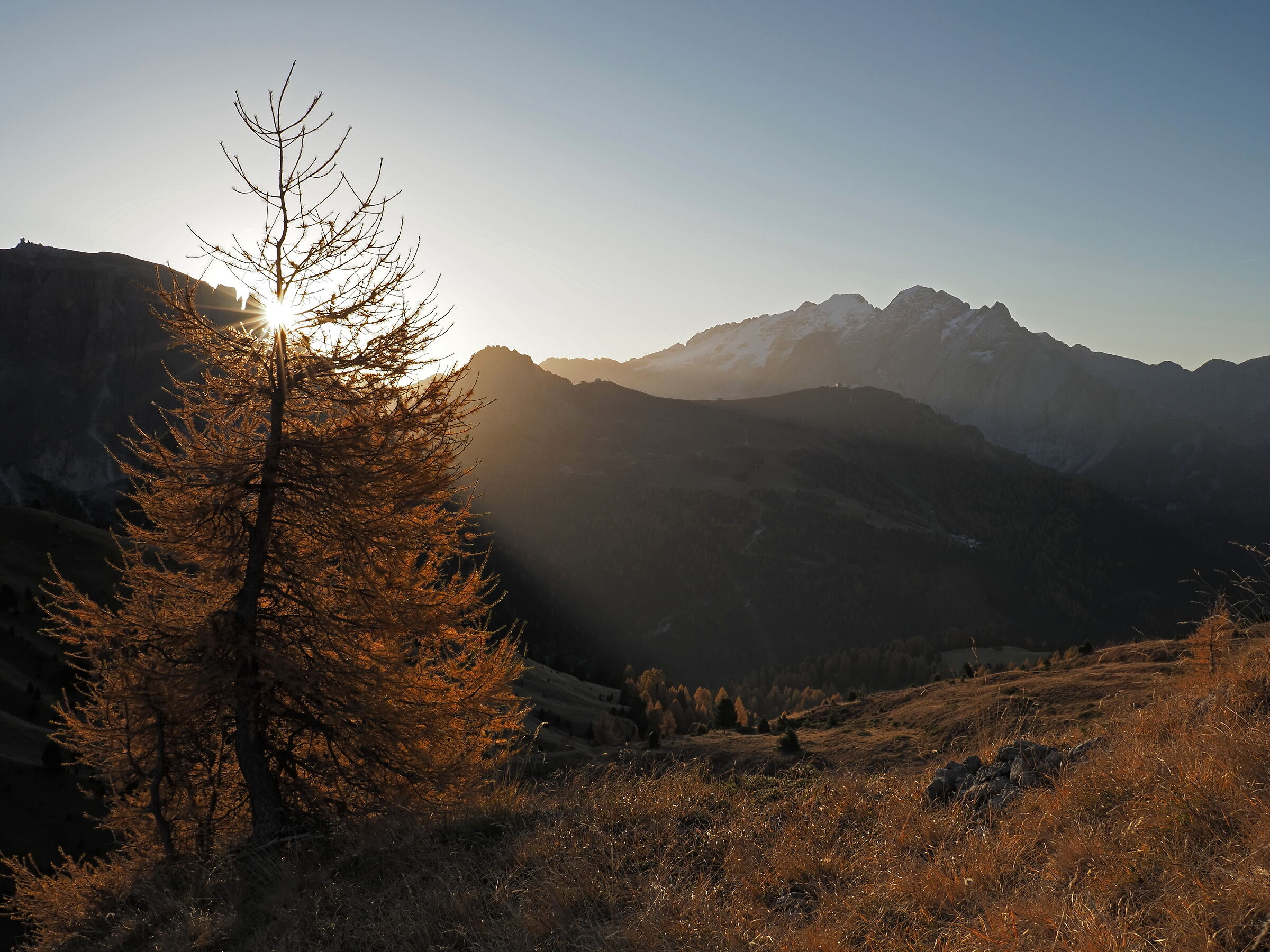 A star for the Queen