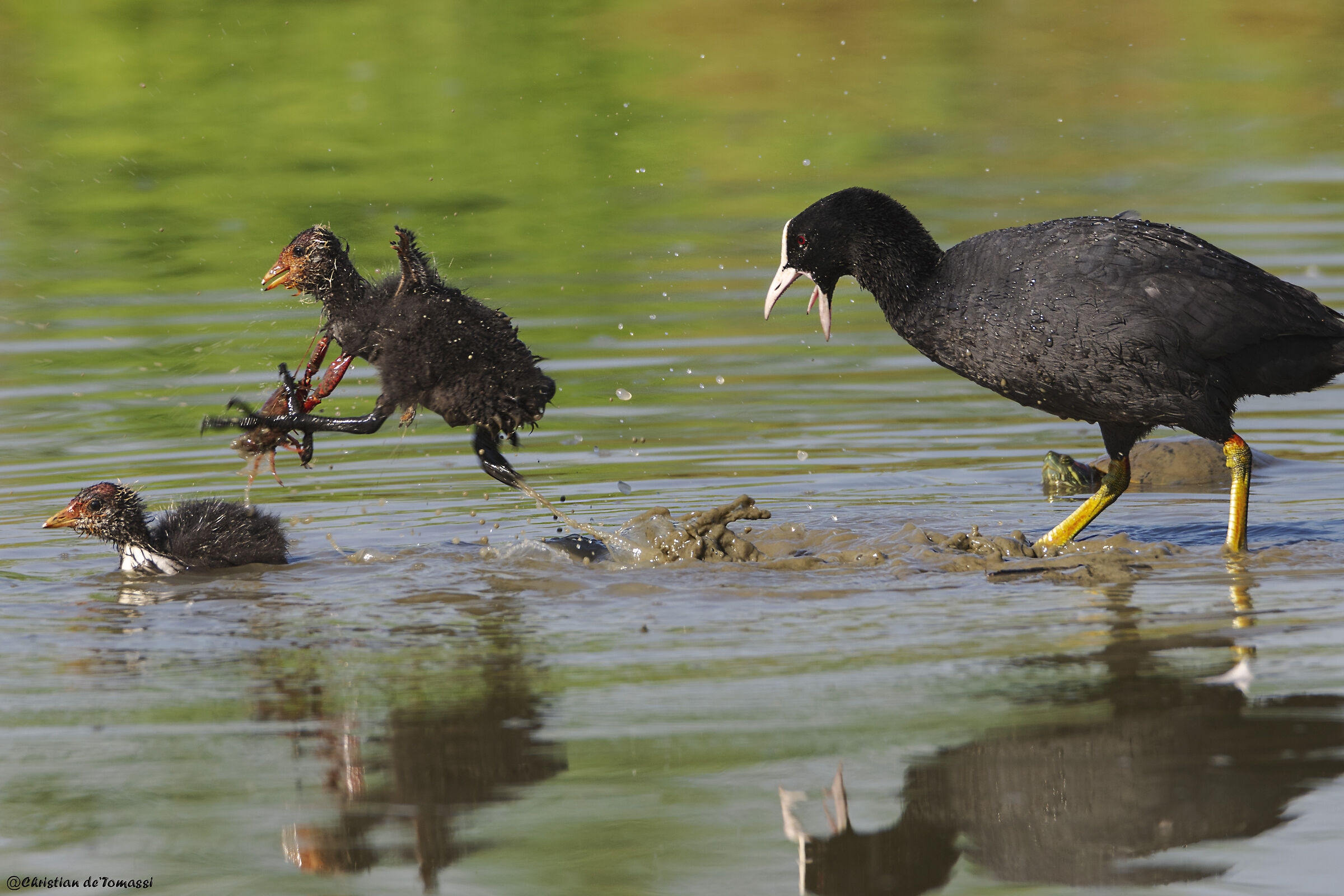 Don't play with food!!!