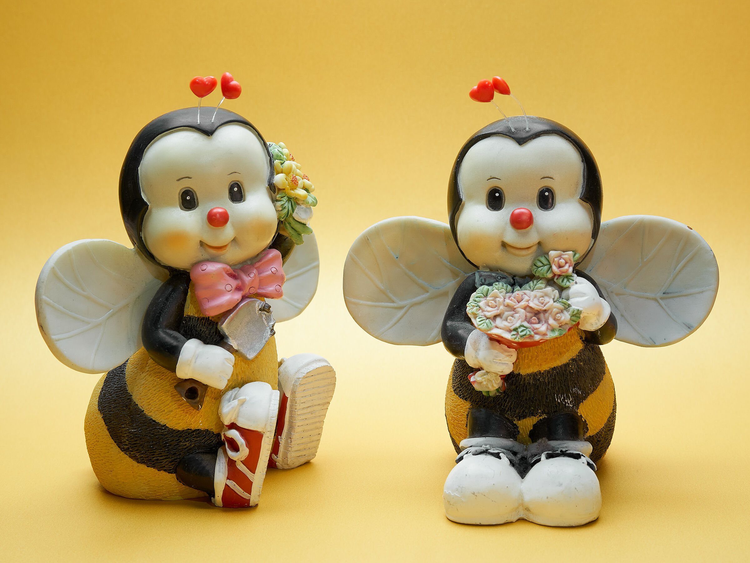The pair of bees